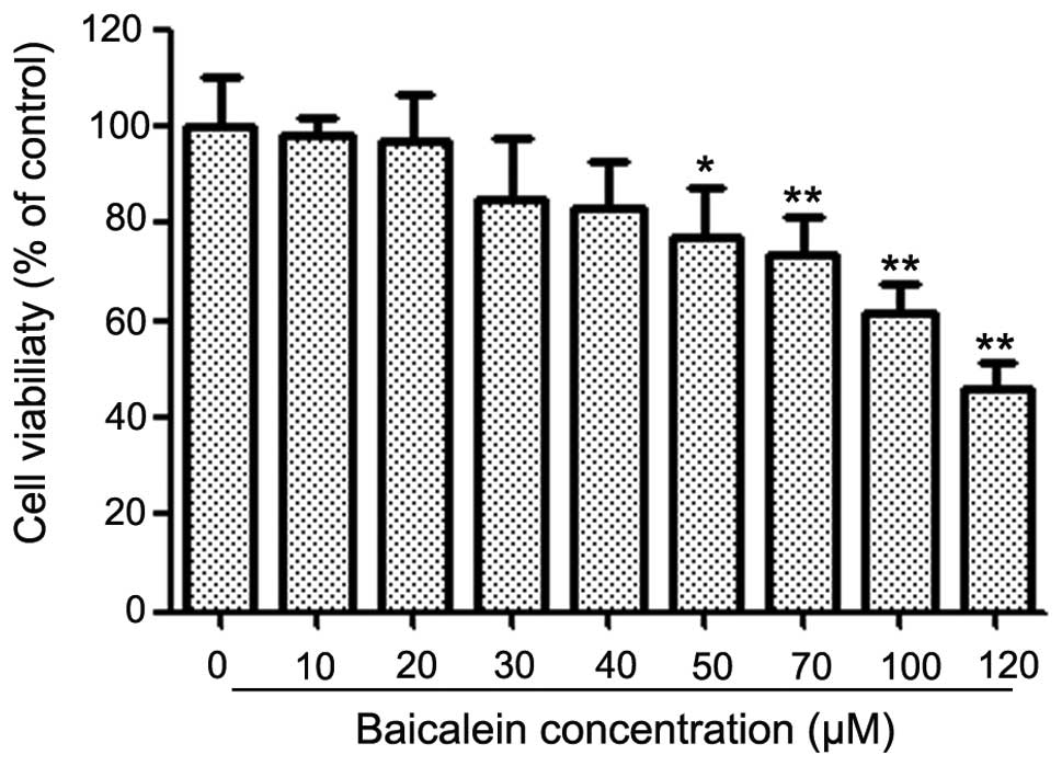 Baicalein Inhibits The Migration And Invasion Of Colorectal Cancer Cells Via Suppression Of The Akt Signaling Pathway