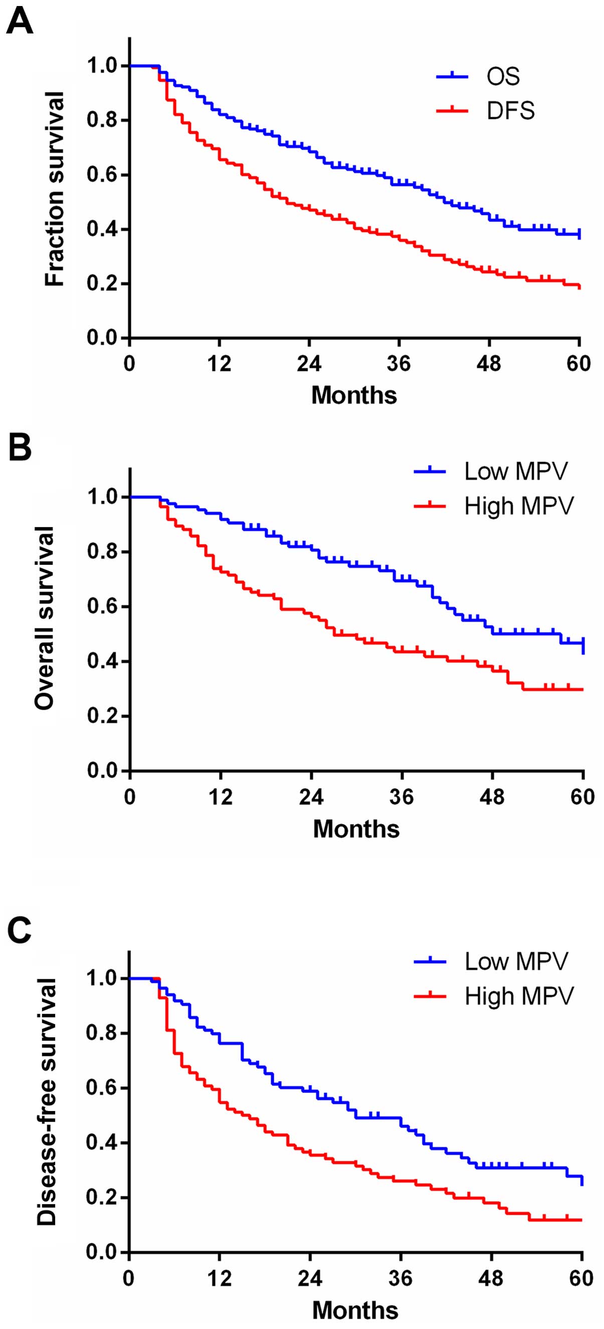 Blood test mpv What is