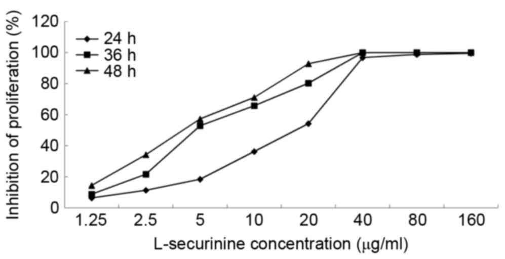 L-securinine induces apoptosis in the human promyelocytic 