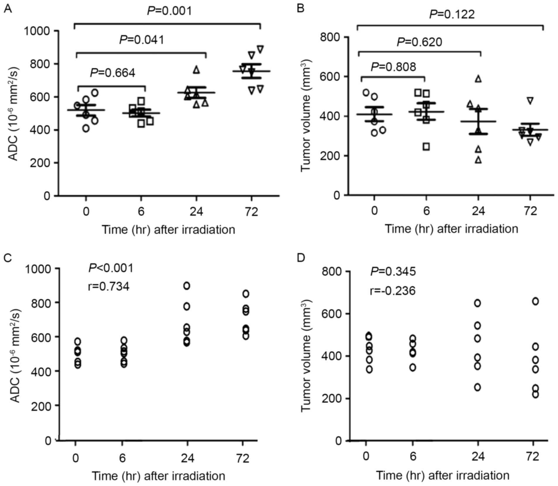 ADC values (mm2/s) of tumor and liver at different time points.