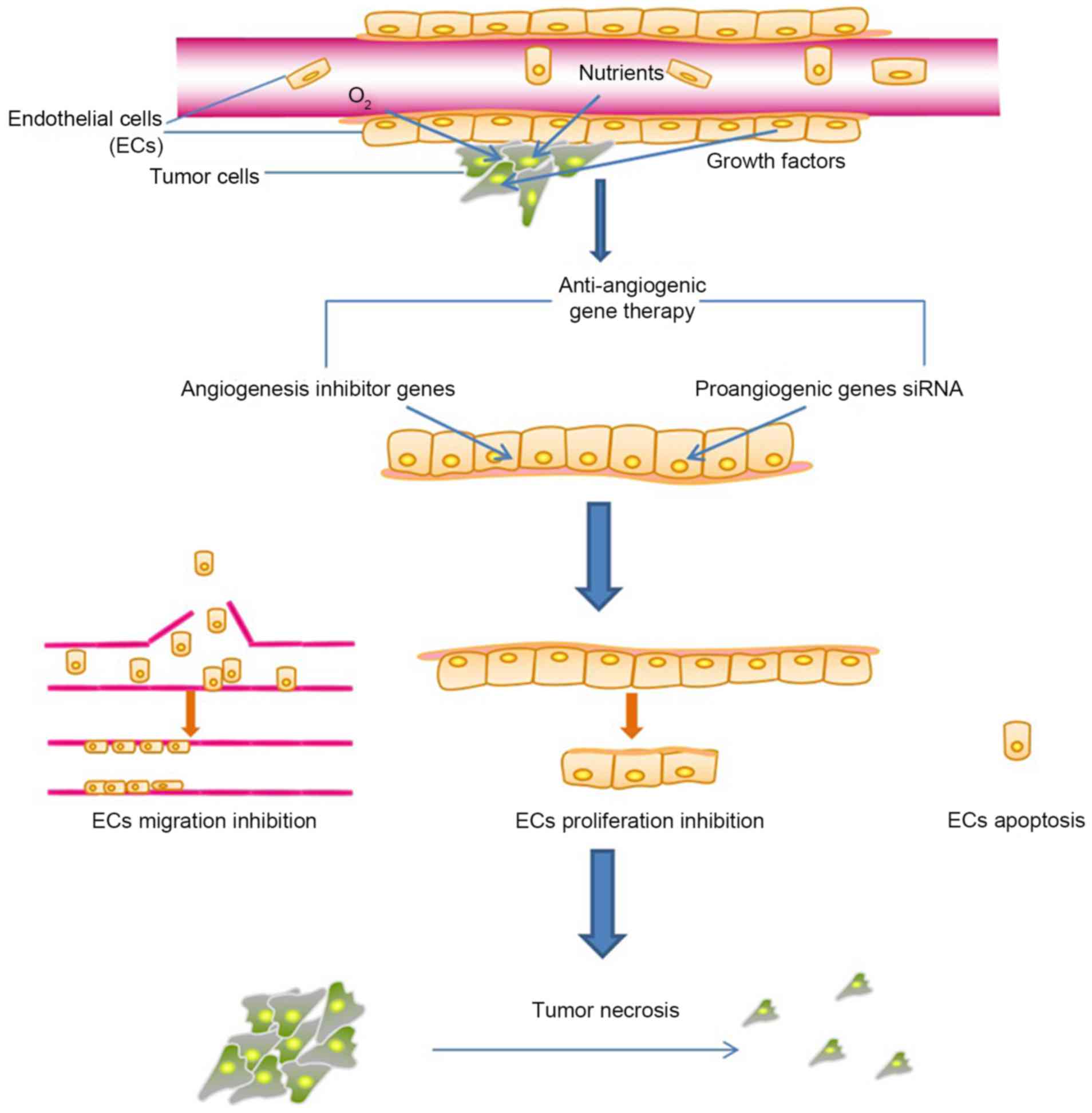 Gene Therapy Process Flow Chart