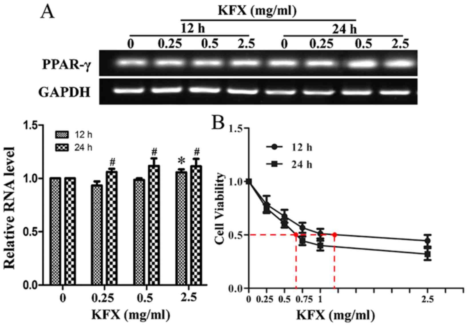 Pro Apoptotic Effects Of Kangfuxin On Human Stomach Cancer Cells