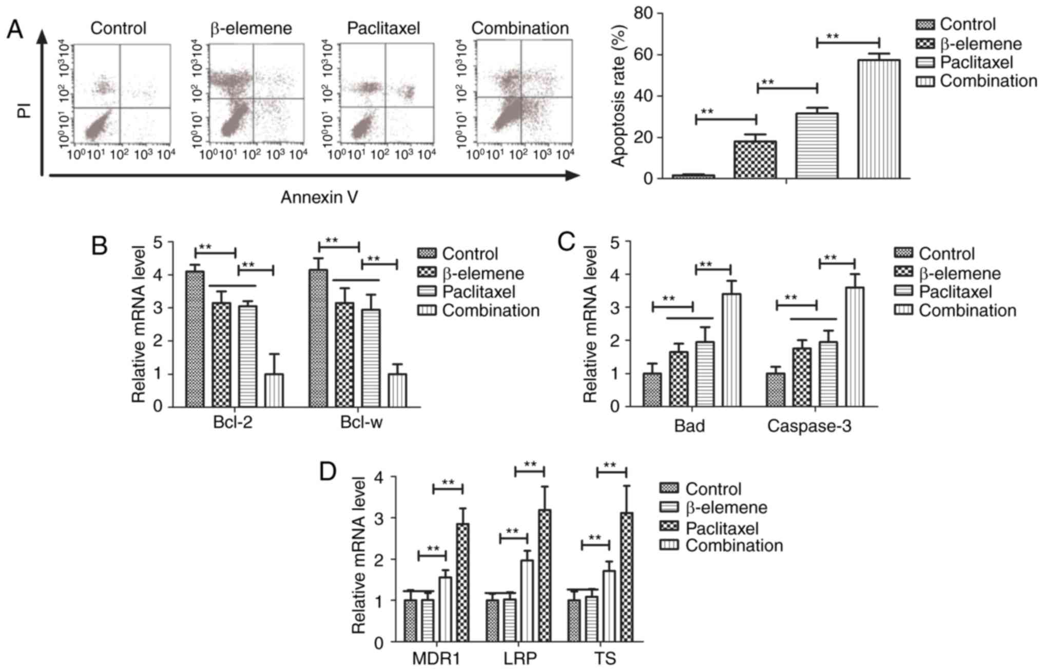 B Elemene Enhances Anticancer Bone Neoplasms Efficacy Of Paclitaxel Through Regulation Of Gpr124 In Bone Neoplasms Cells