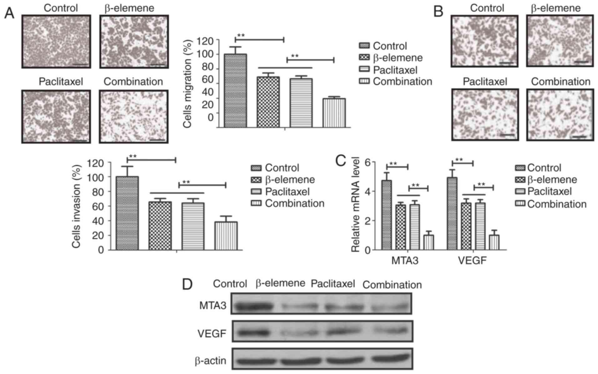B Elemene Enhances Anticancer Bone Neoplasms Efficacy Of Paclitaxel Through Regulation Of Gpr124 In Bone Neoplasms Cells