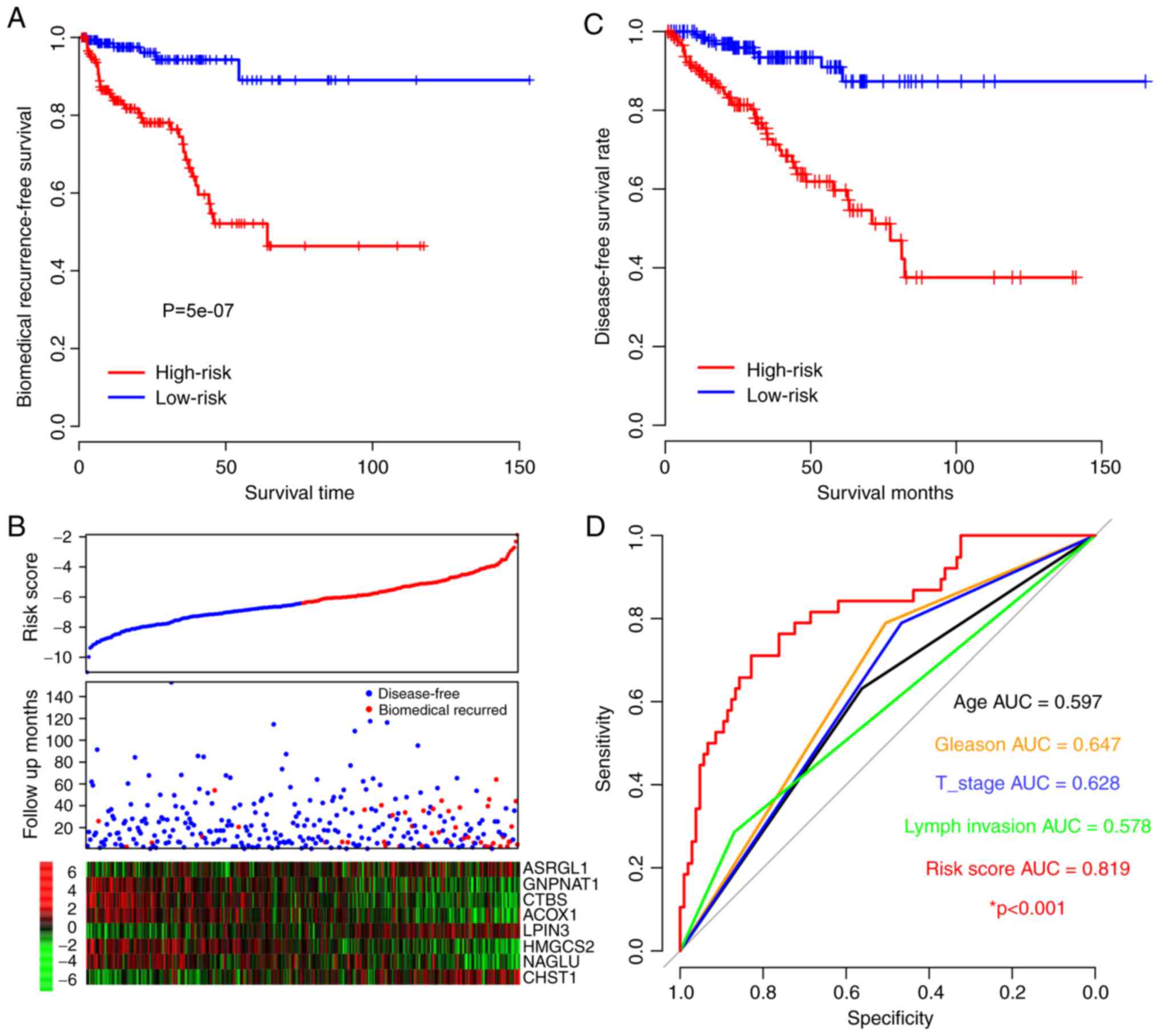 prostate cancer recurrence risk)