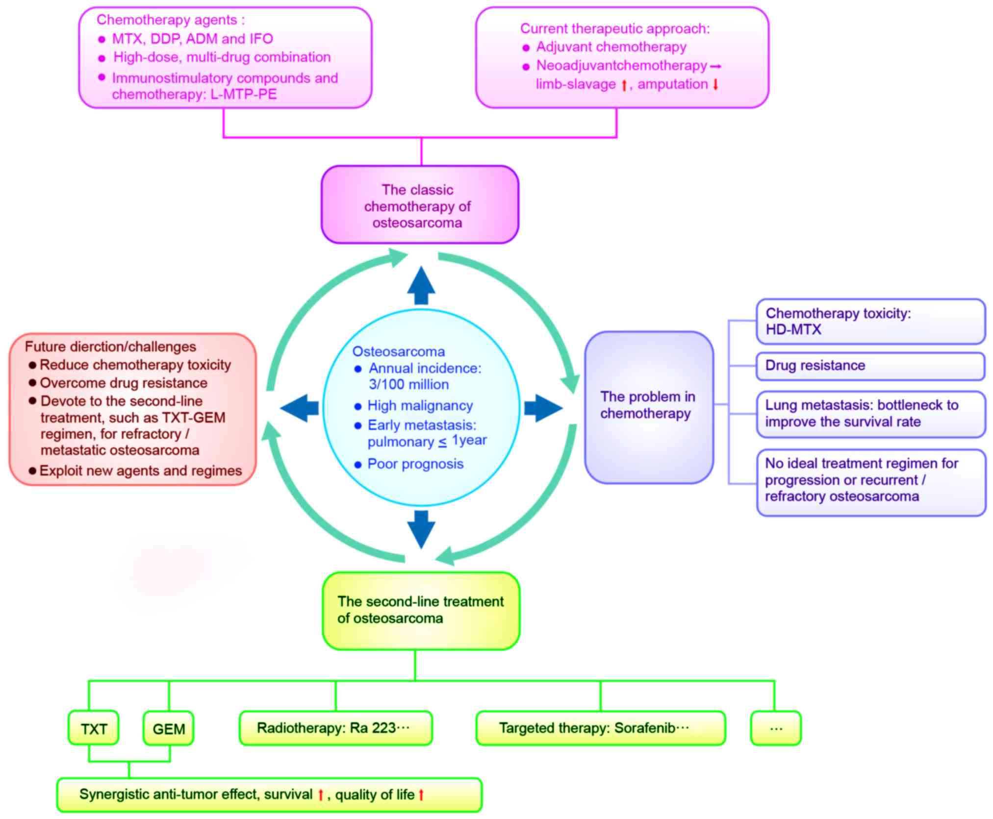 Chemotherapy Administration Sequence Chart