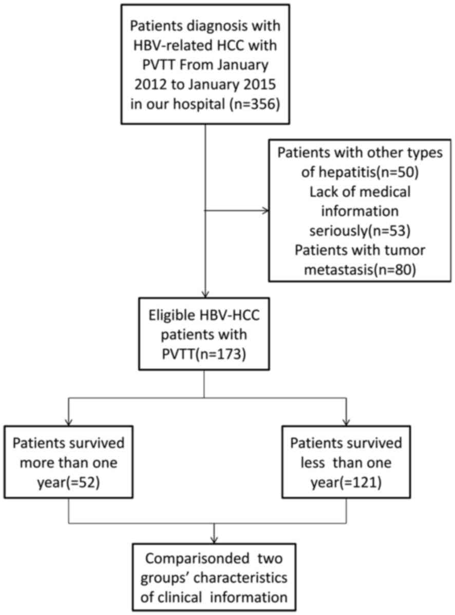 Hepatitis Types Chart