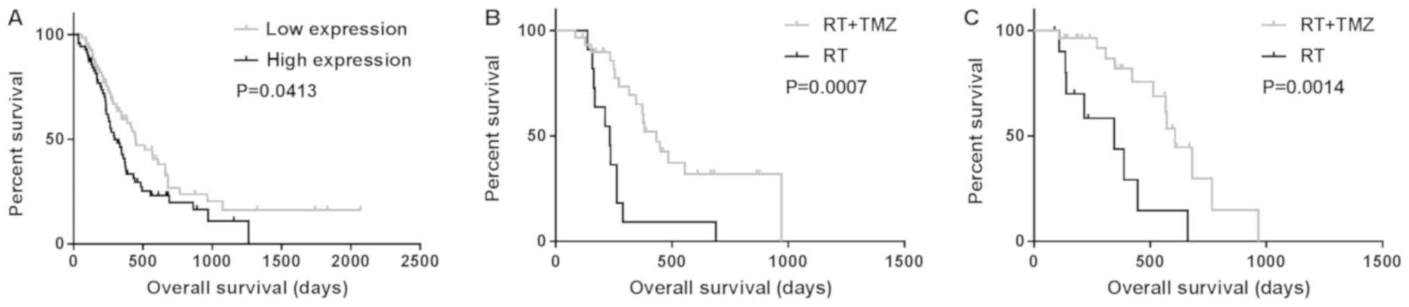 Survivin Is A Prognostic Indicator In Glioblastoma And May Be A Target Of Microrna‑218