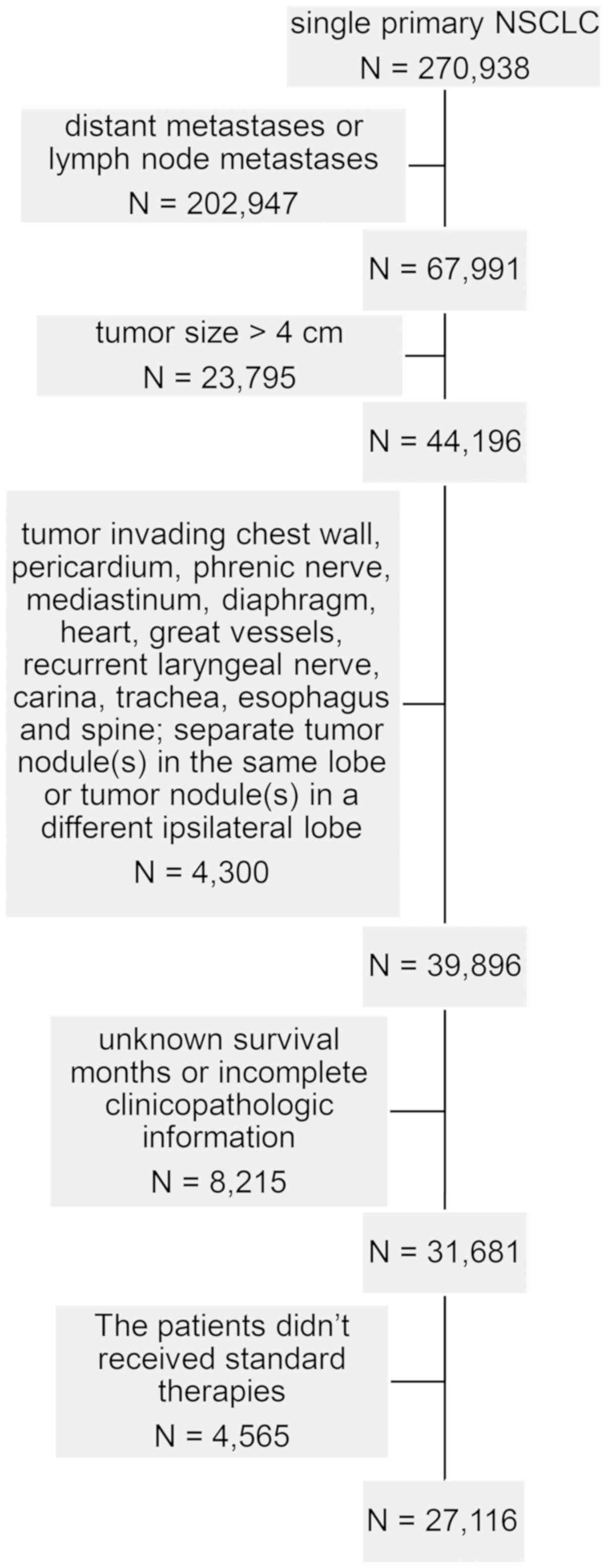 Lung Cancer Tumor Size Chart