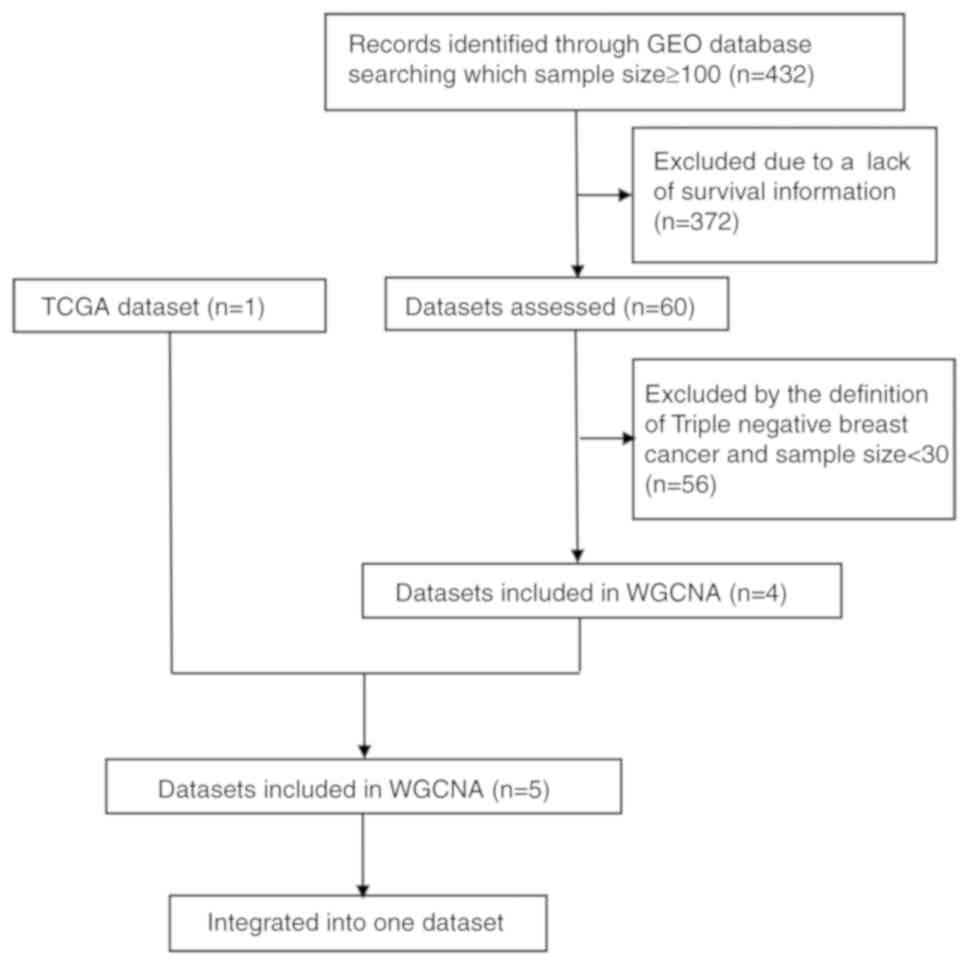 Oakes Test Flow Chart