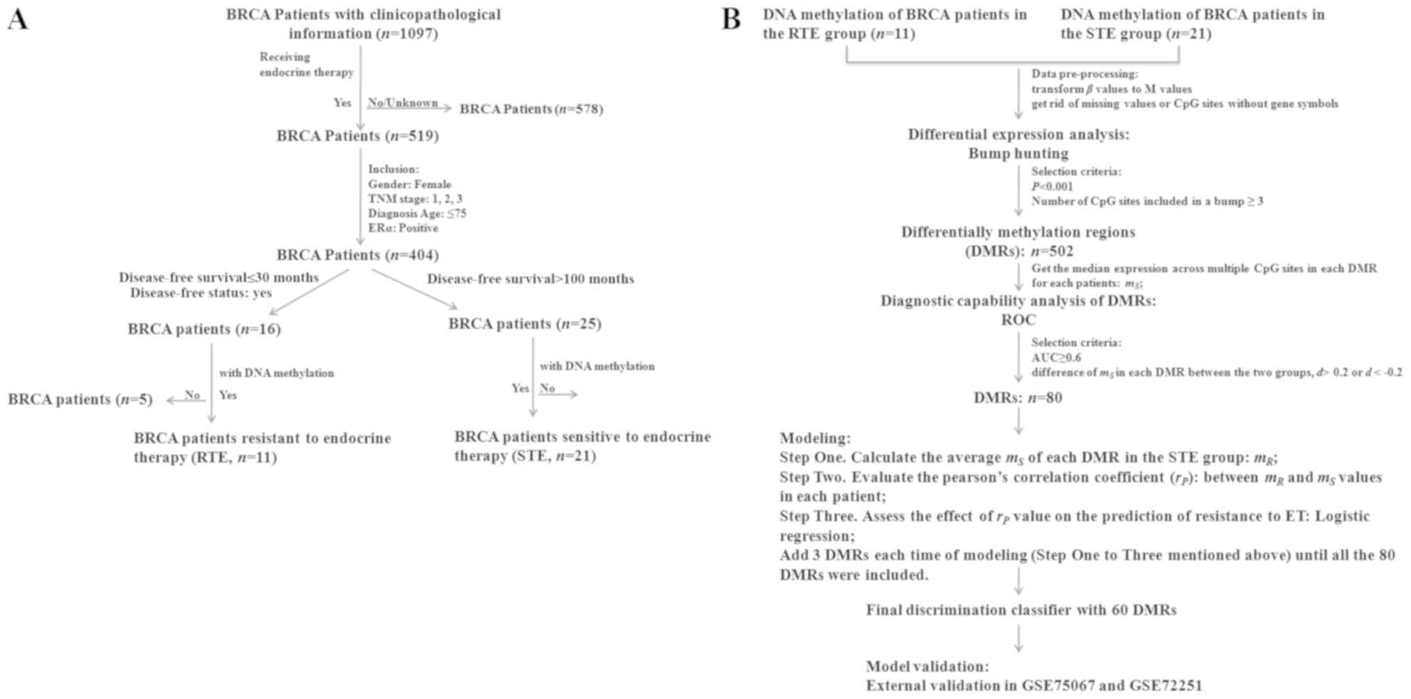 Tnm Chart Paper