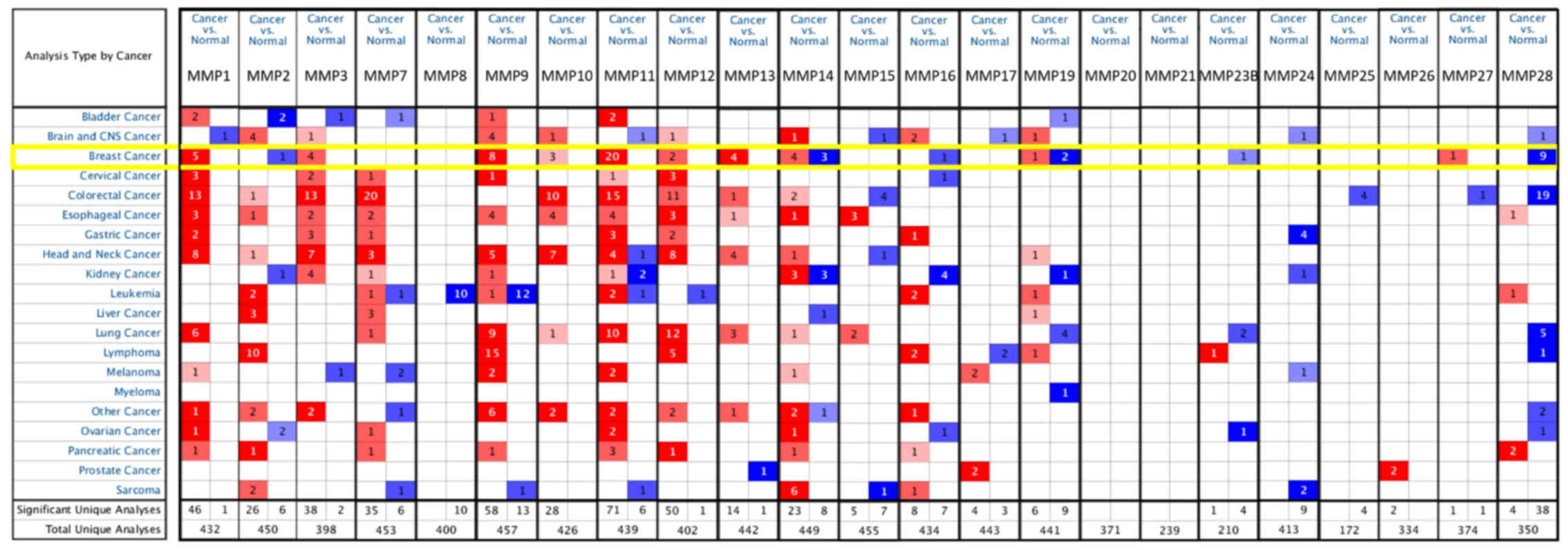 Sf Rank And Exp Chart