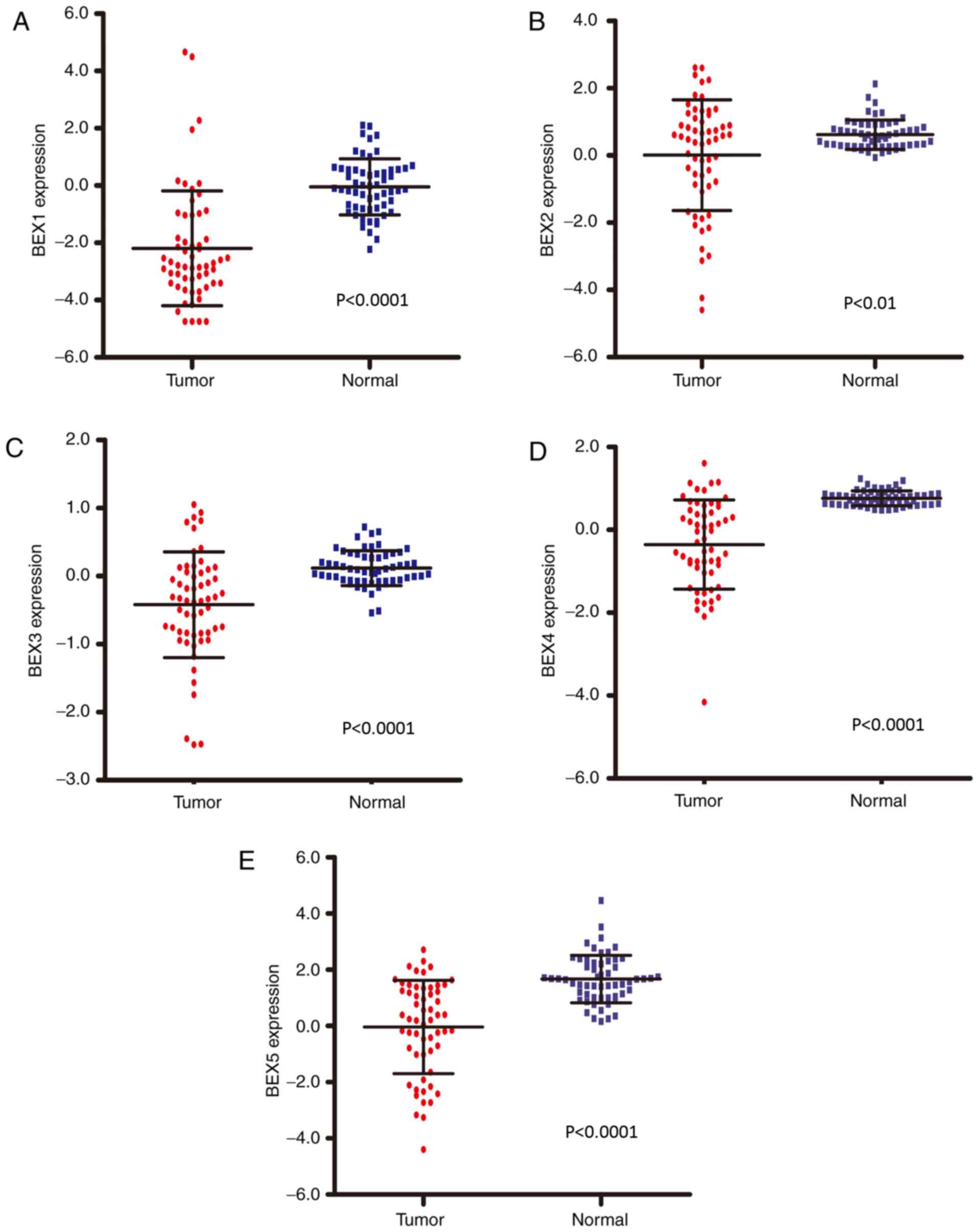 Epigenetic silencing of TCEAL7 (Bex4) in ovarian cancer