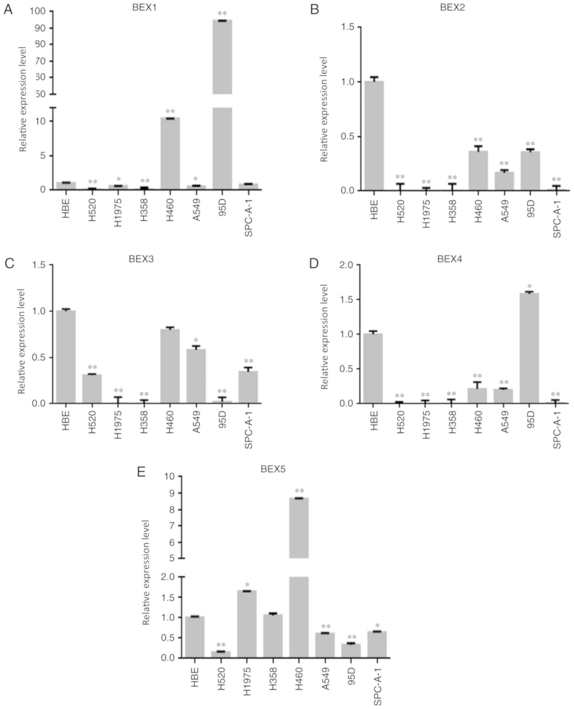 Epigenetic silencing of TCEAL7 (Bex4) in ovarian cancer