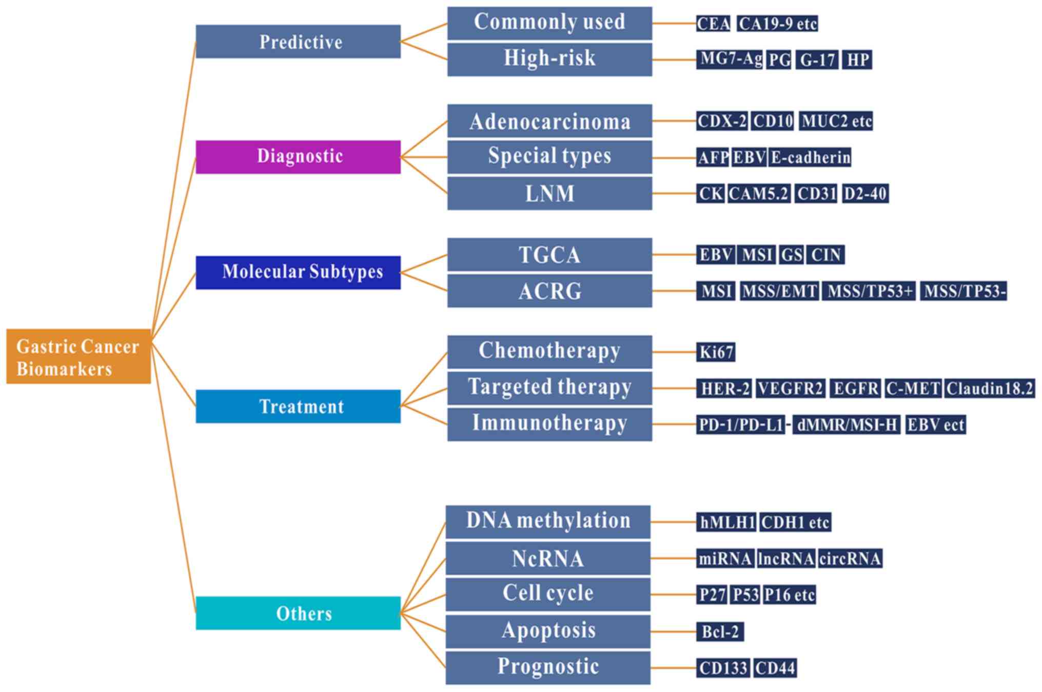 Abdominal cancer tumor markers
