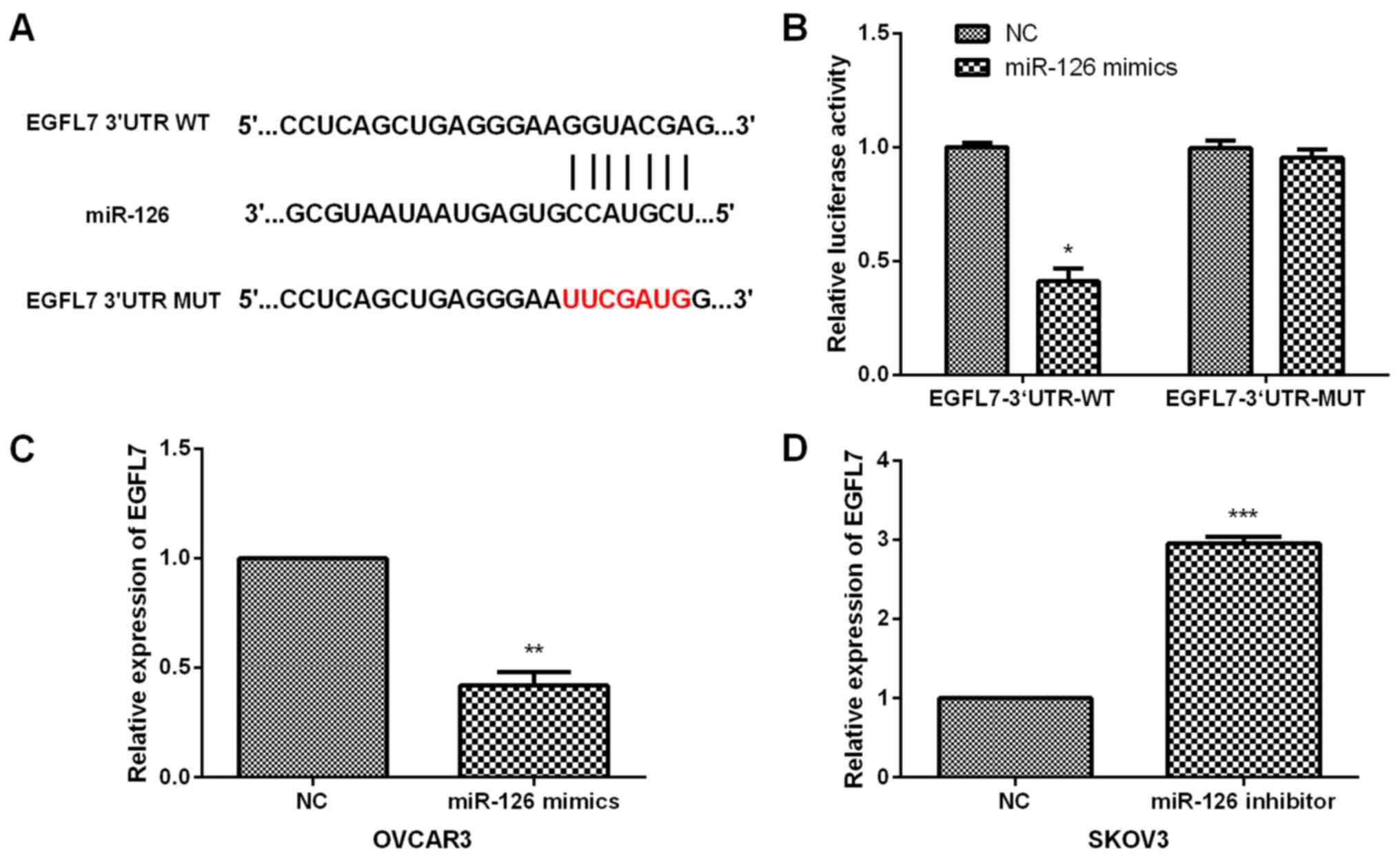 MicroRNA‑126 exerts antitumor functions in ovarian cancer by targeting ...
