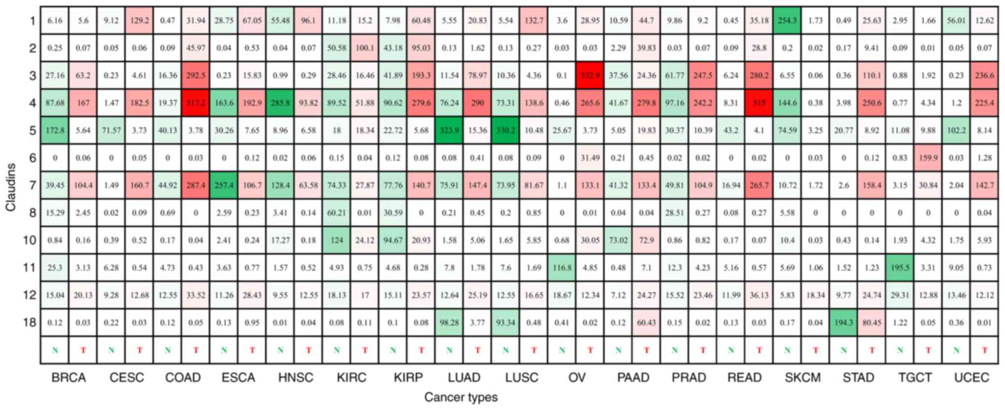 Systems Proteomics View of the Endogenous Human Claudin Protein