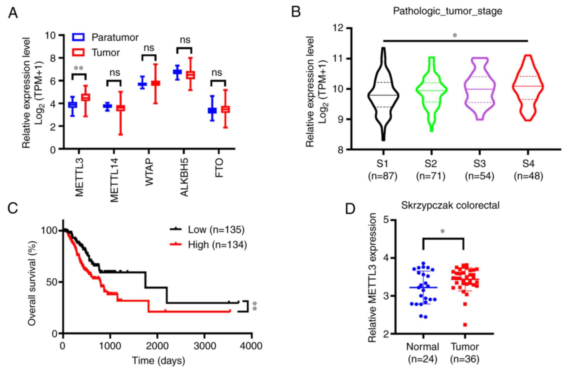 RNA m<sup>6</sup>A methyltransferase METTL3 promotes colorectal 