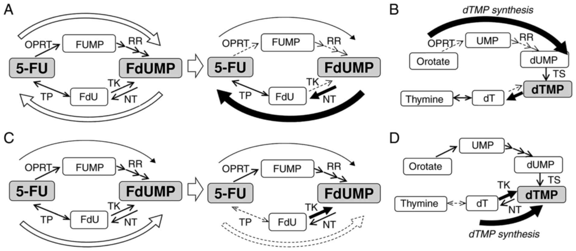 TAS 102 mechanism of action compared to 5-FU