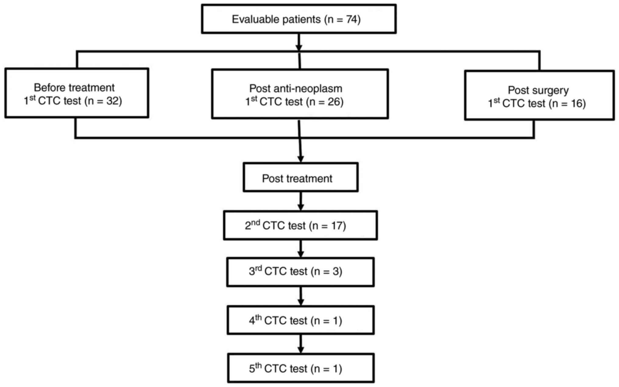 Flowchart. A total of 74 patients
with lung cancer were enrolled. CTC, circulating tumor cells.
