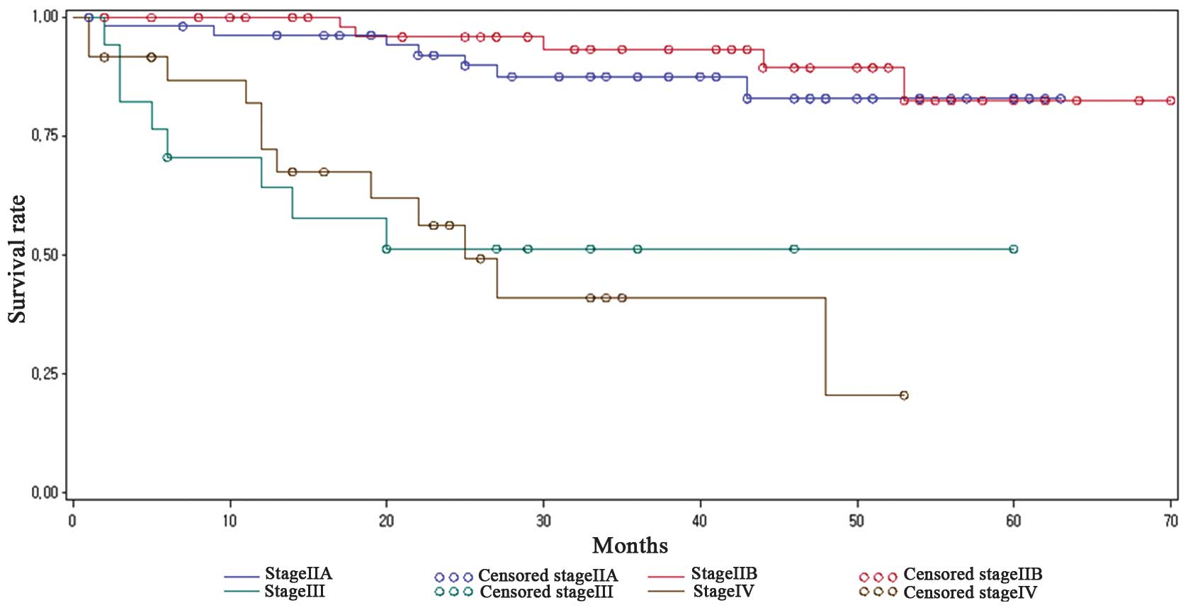 Is Cervical Cancer Curable Survival Rate Treatment Of Cervical Cancer