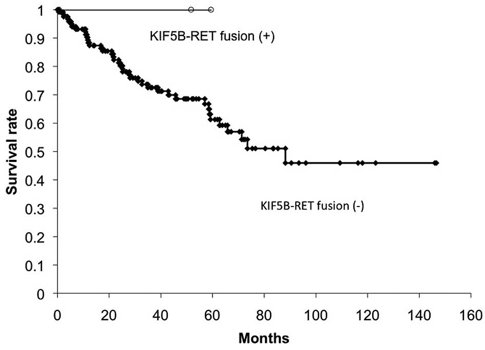 KIF5B/RET fusion gene in surgically-treated adenocarcinoma of the lung