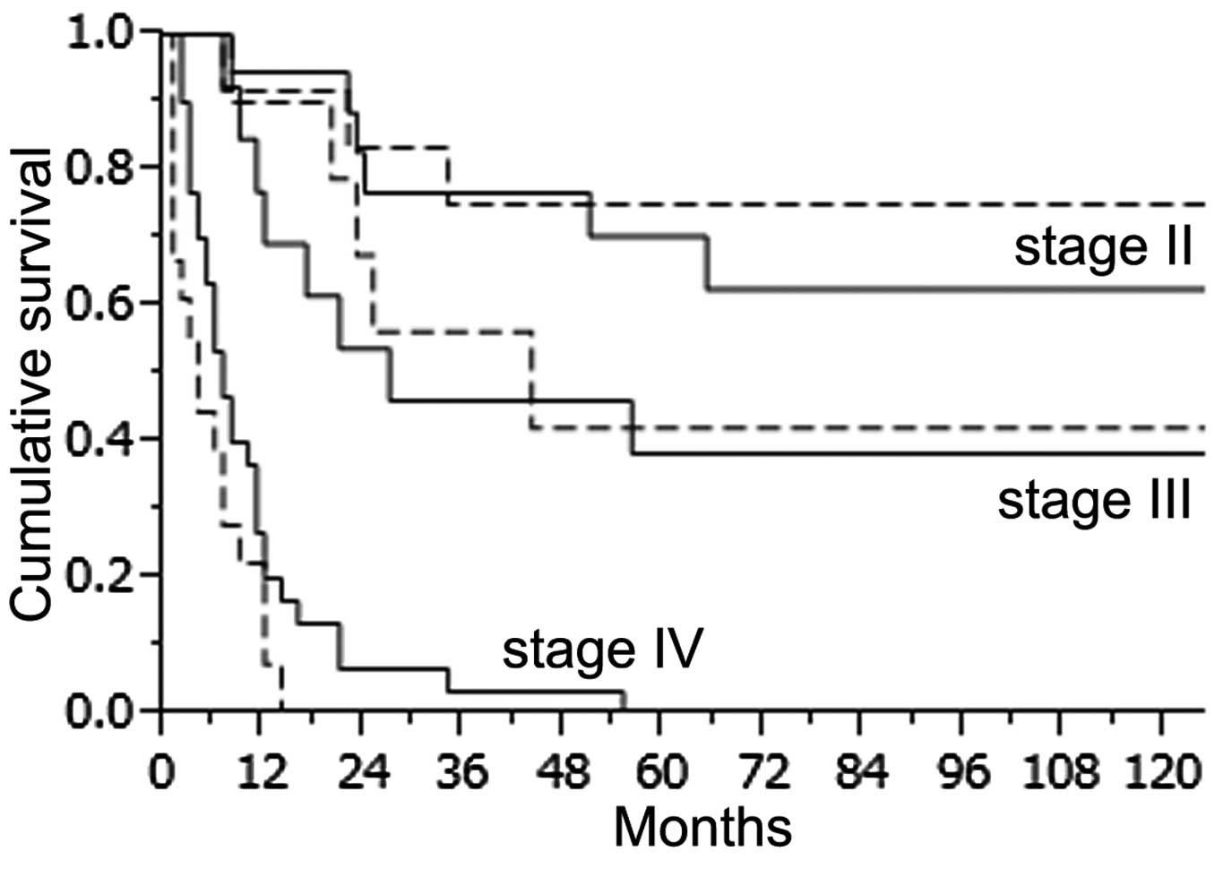 Gastric cancer young. Gastric cancer young.