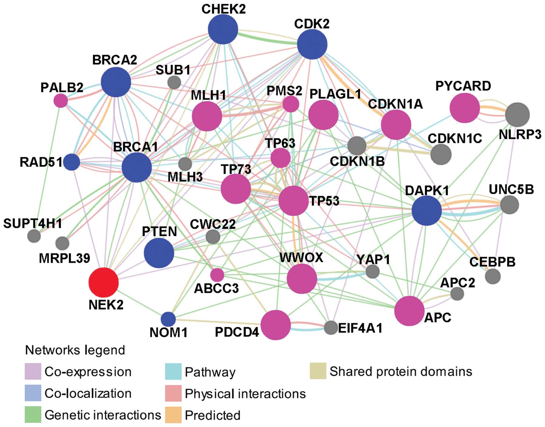 cancer genetic network
