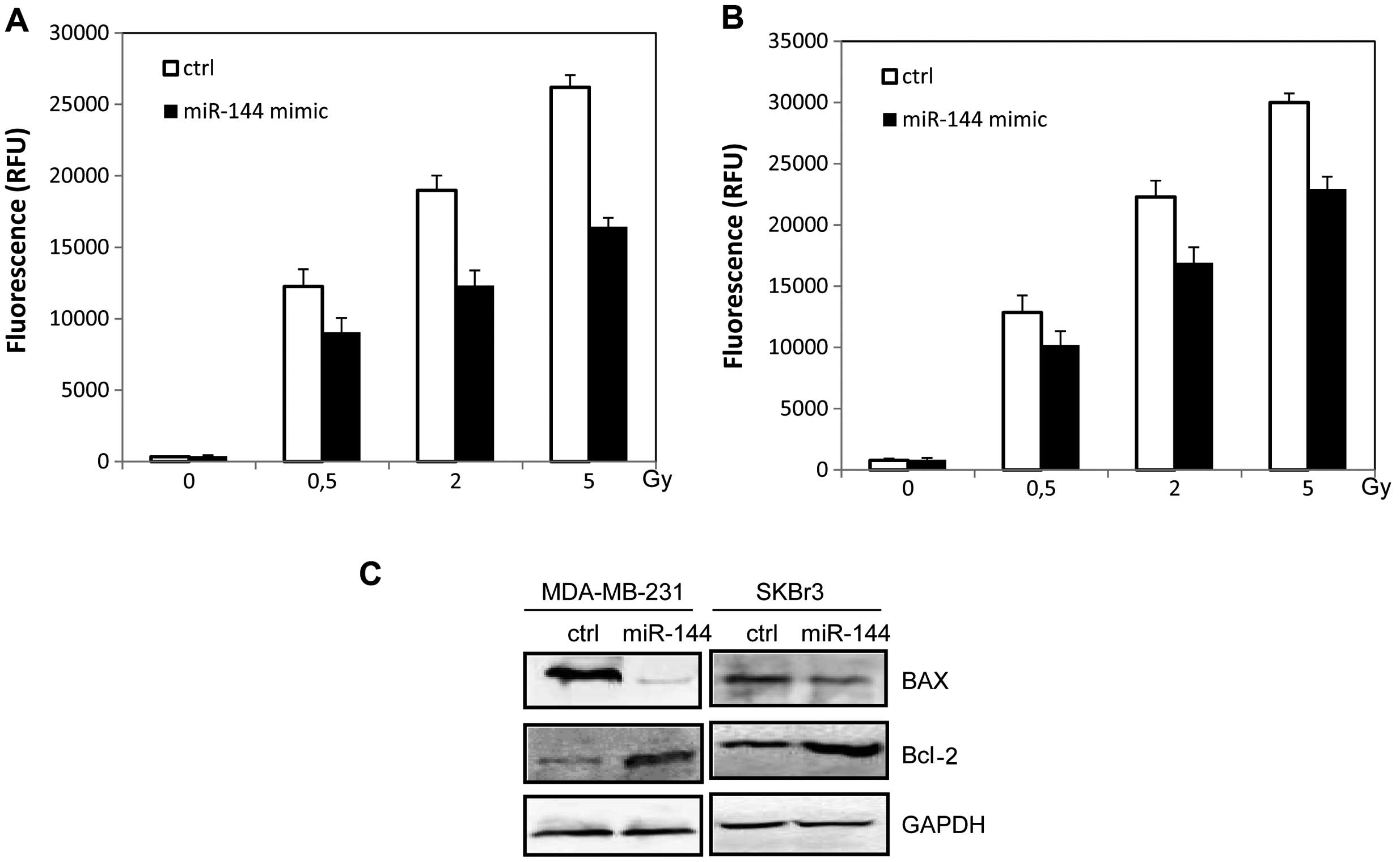 Microrna 144 Affects Radiotherapy Sensitivity By Promoting Proliferation Migration And Invasion