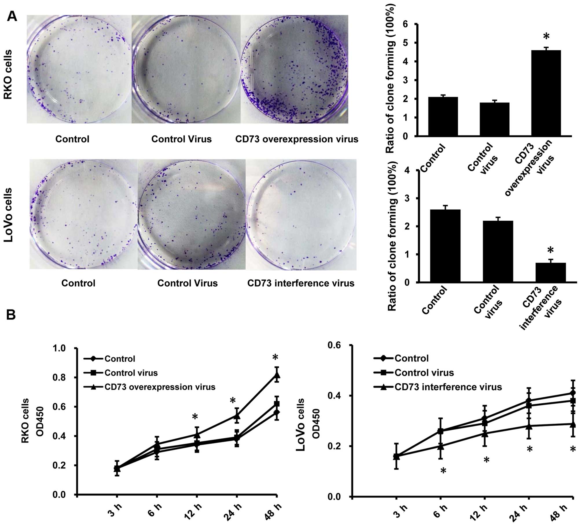 rectal cancer virus