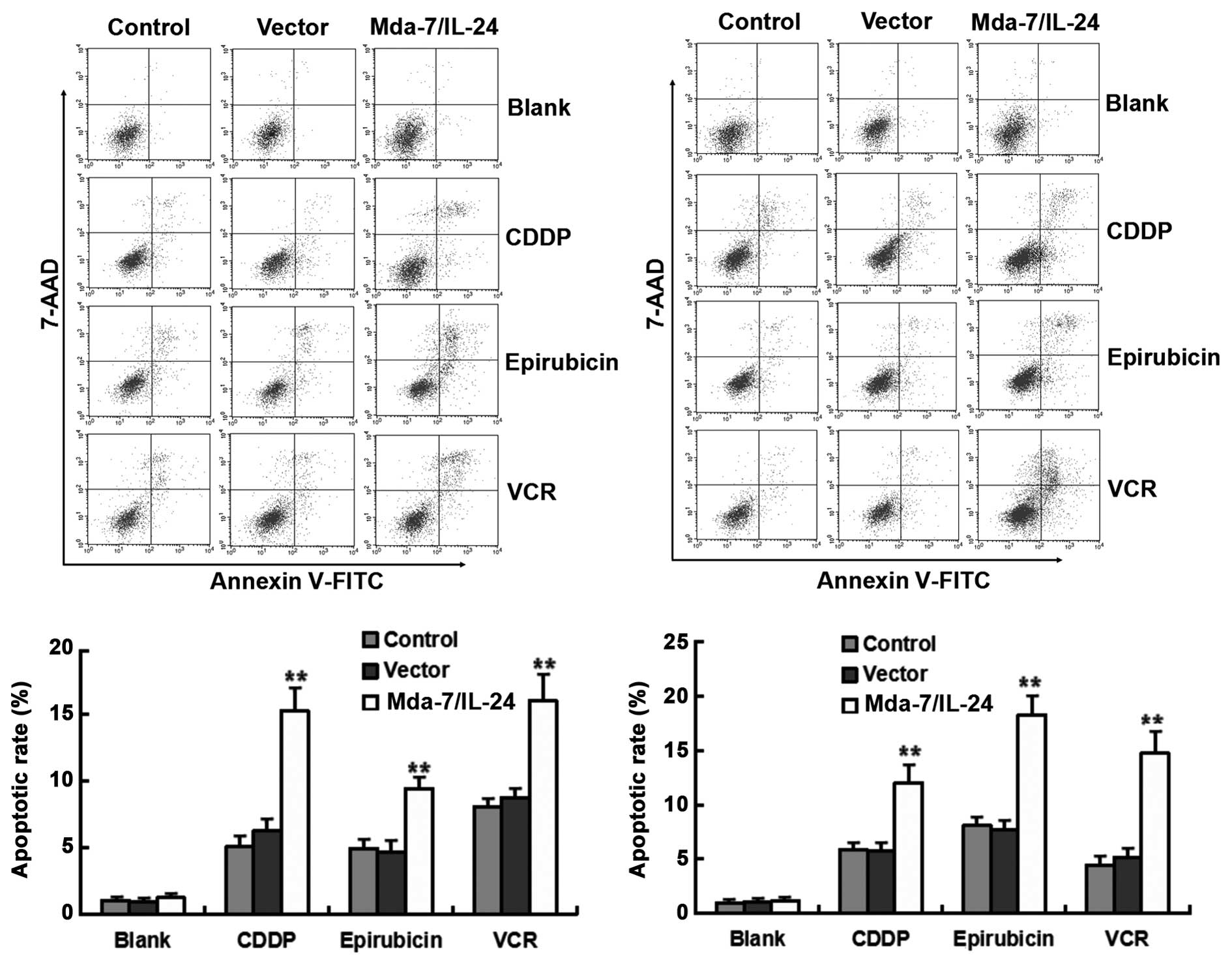 Mda-7/IL-24 enhances sensitivity of B cell lymphoma to 