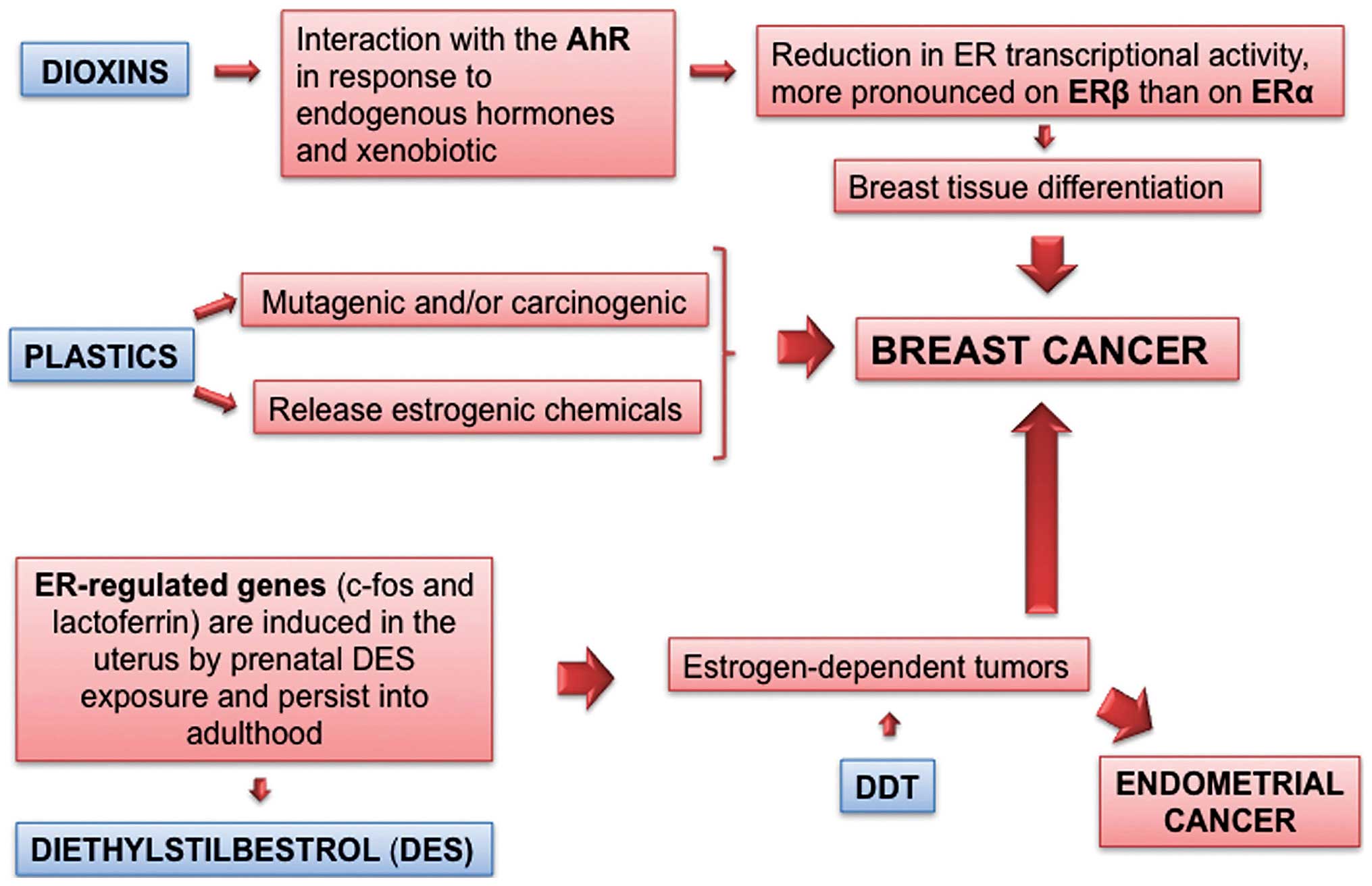 cancer at metastatic