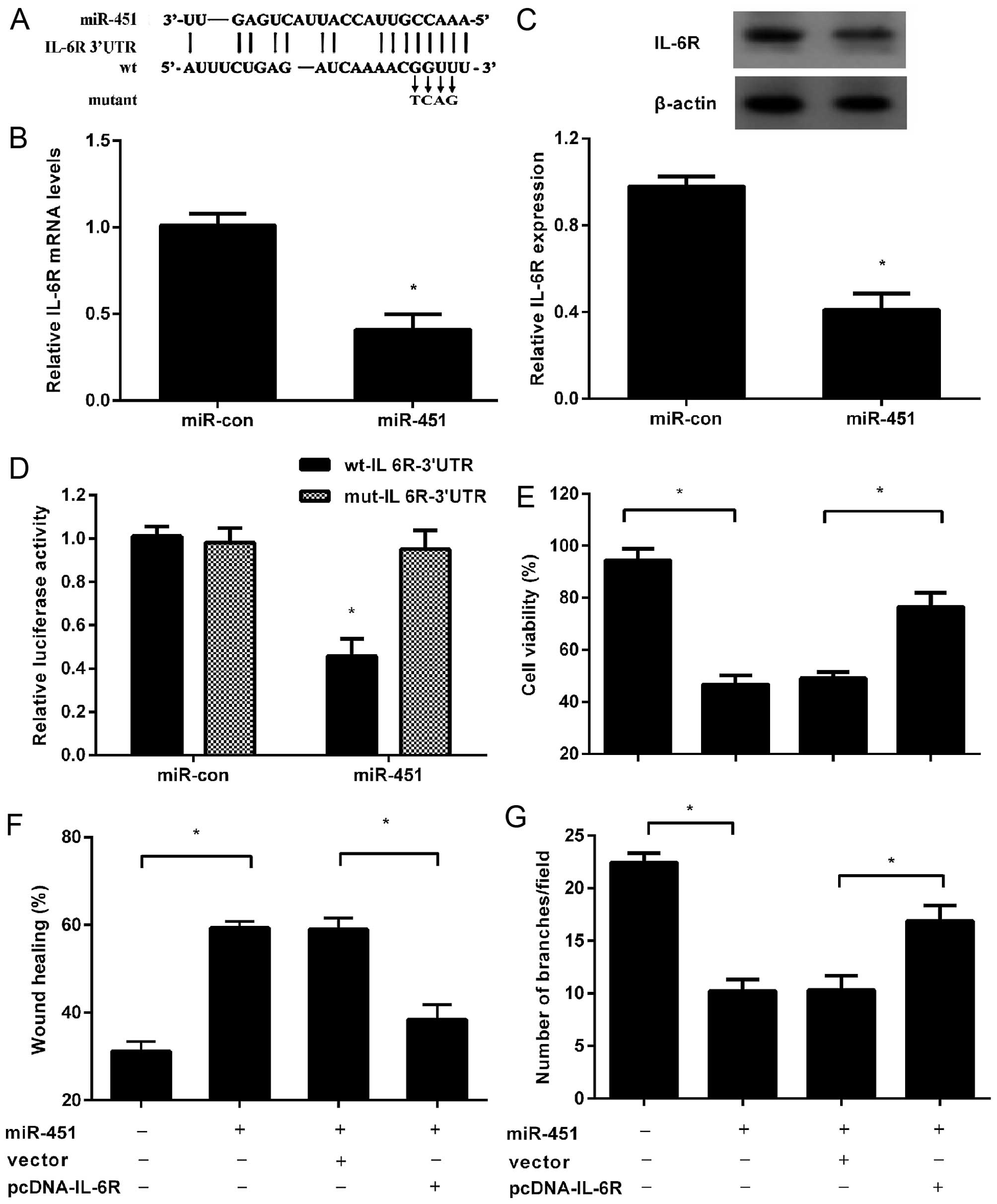 Mir 451 Acts As A Suppressor Of Angiogenesis In Hepatocellular