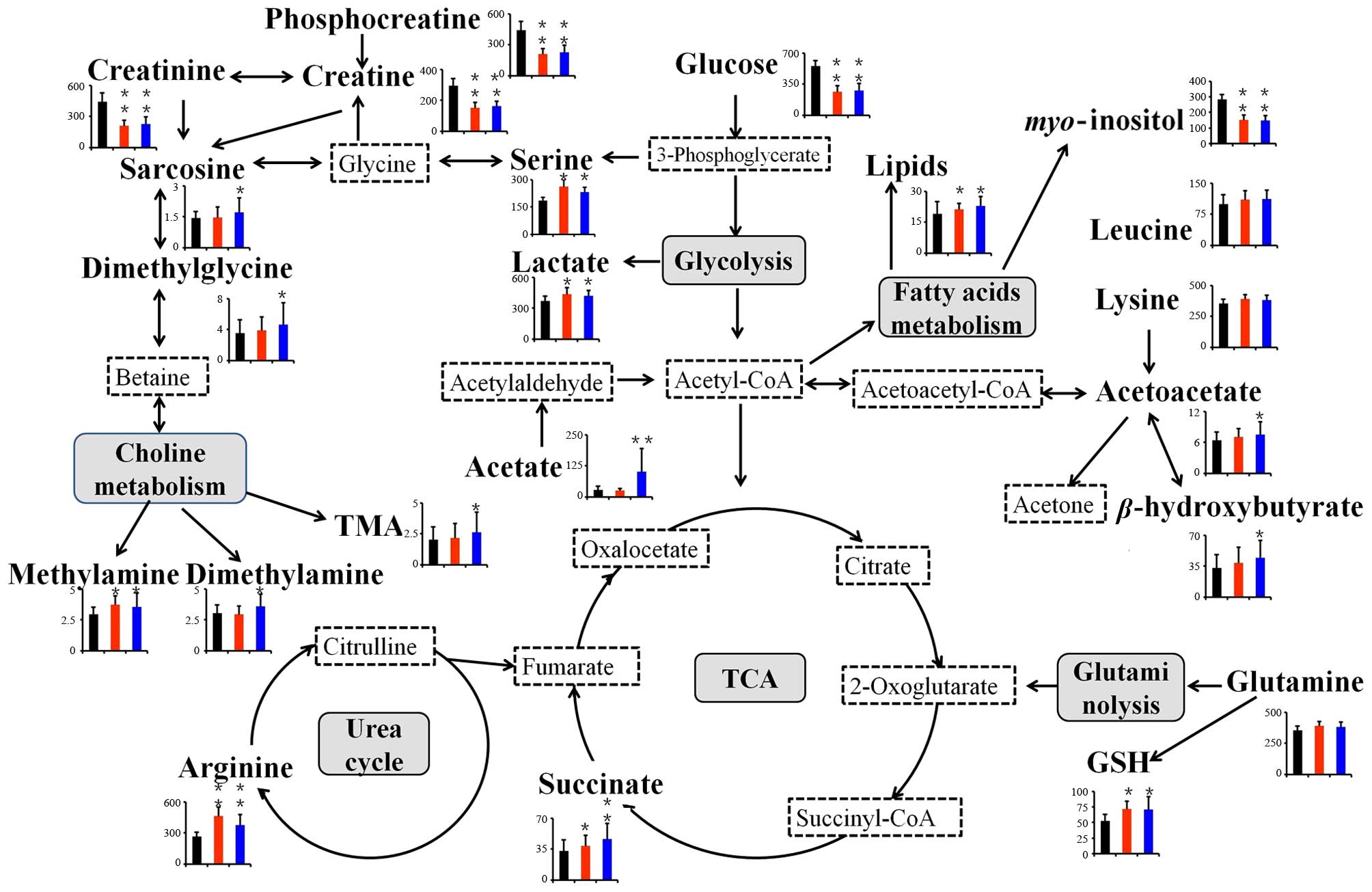 Chart Biomedical Chengdu Co Ltd