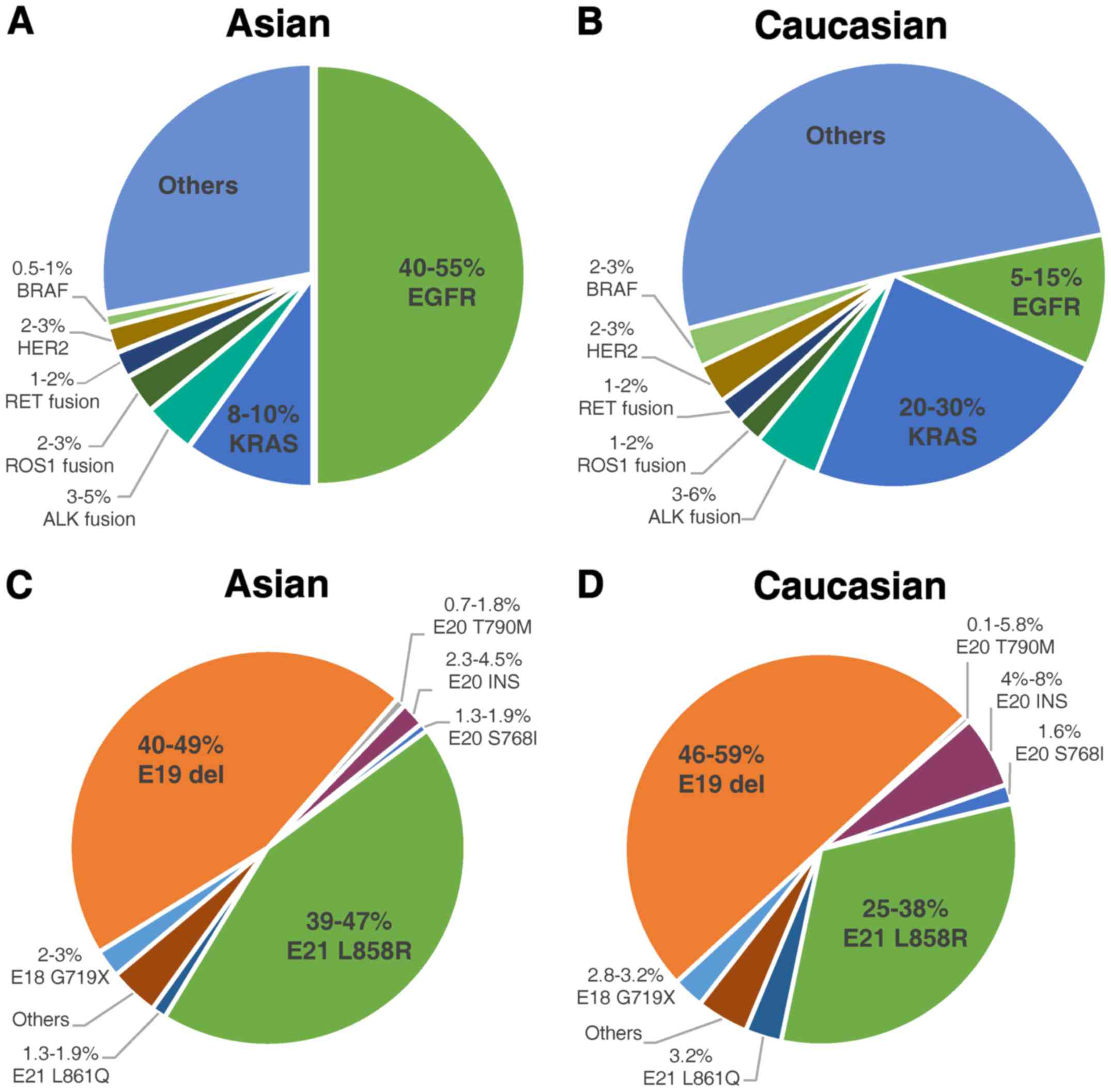 Egfr Mutation Lung Cancer Survival Rate - pdfshare