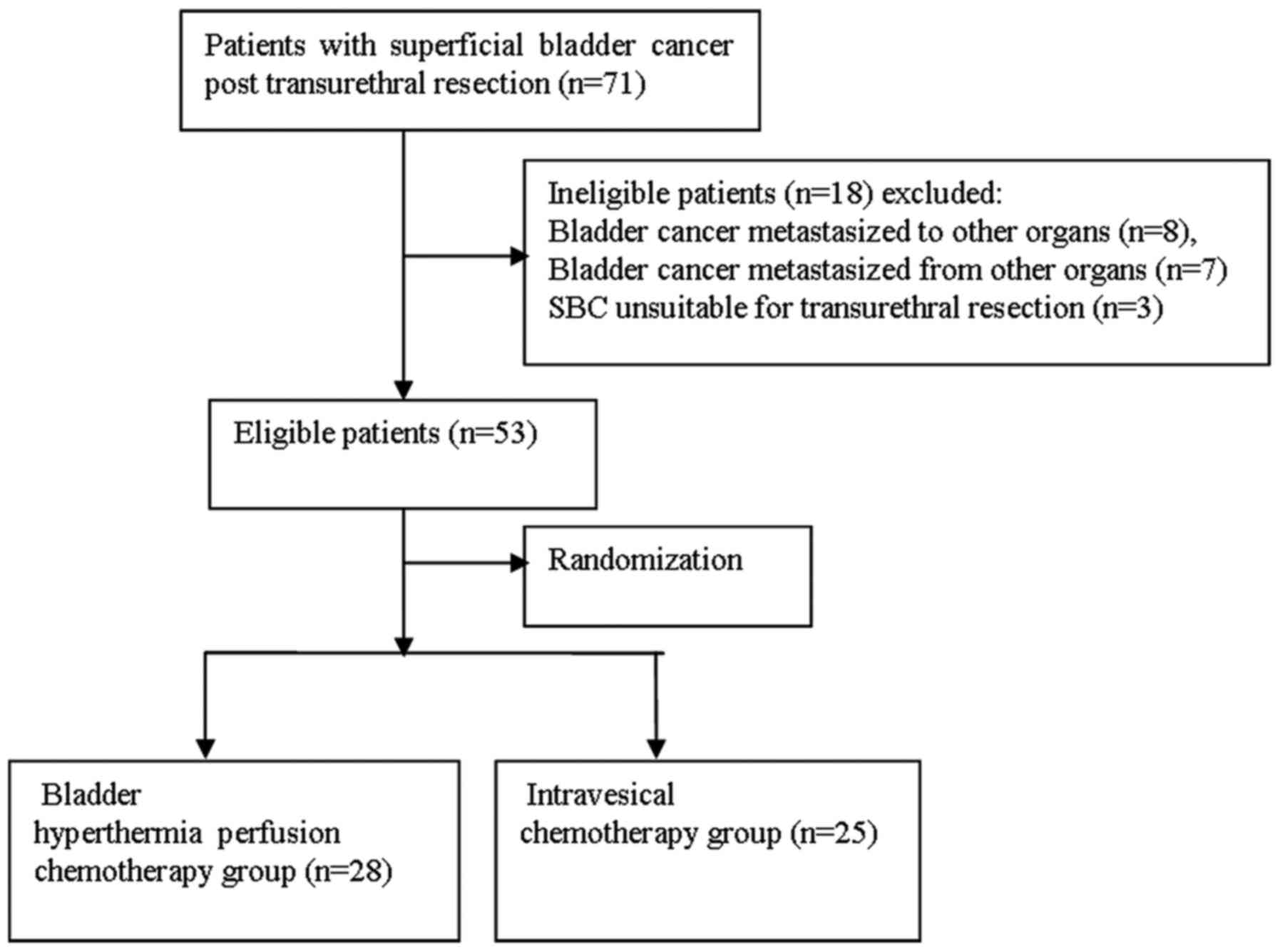 Pathophysiology Of Bladder Cancer In Flow Chart