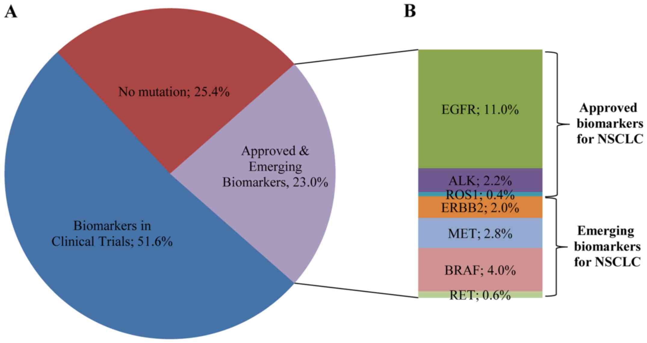 Mutations In Lung Cancer Pie Chart