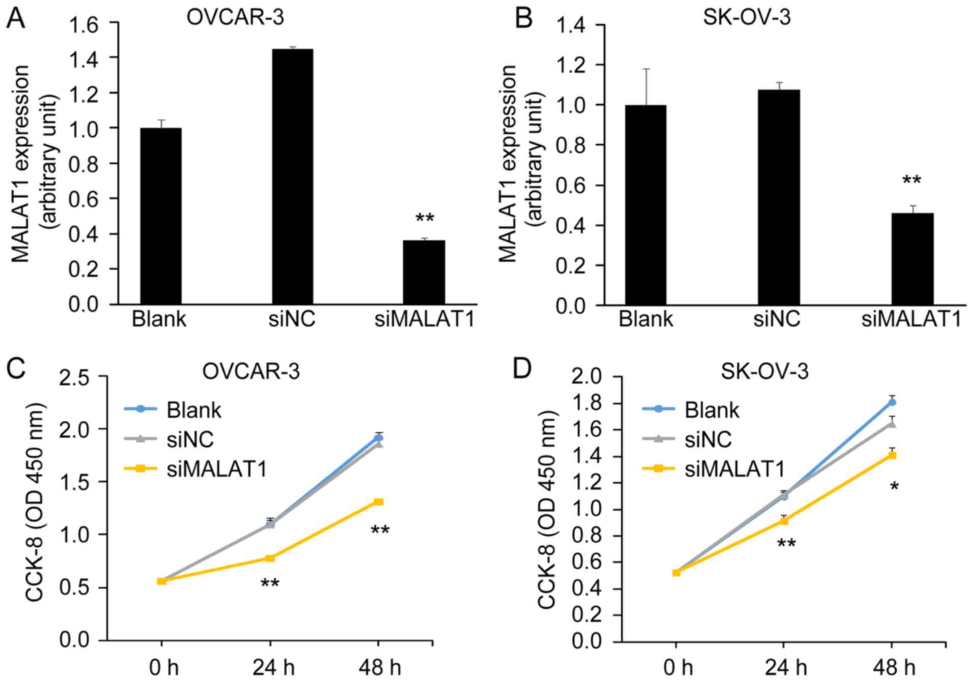 Malat1 Affects Ovarian Cancer Cell Behavior And Patient Survival