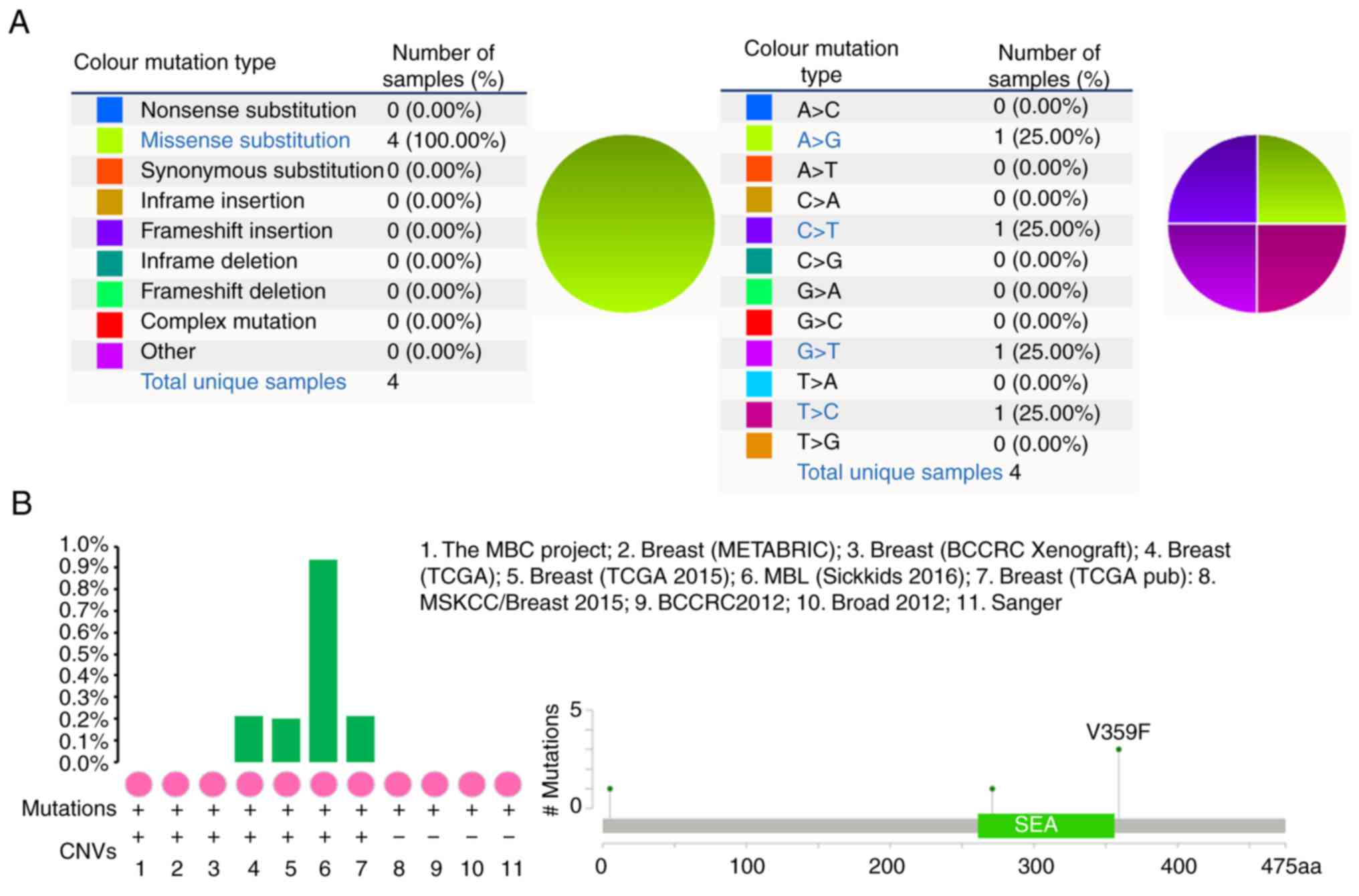 Types Of Breast Cancer Chart