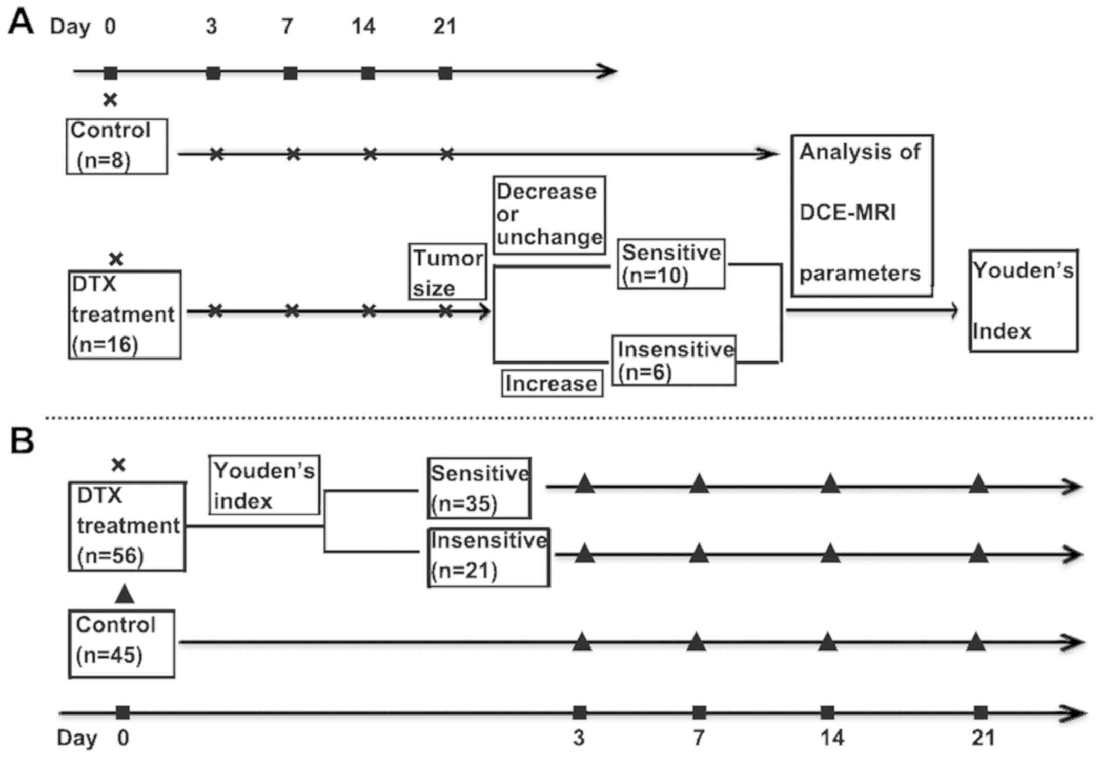 Magnevist Dosage Chart