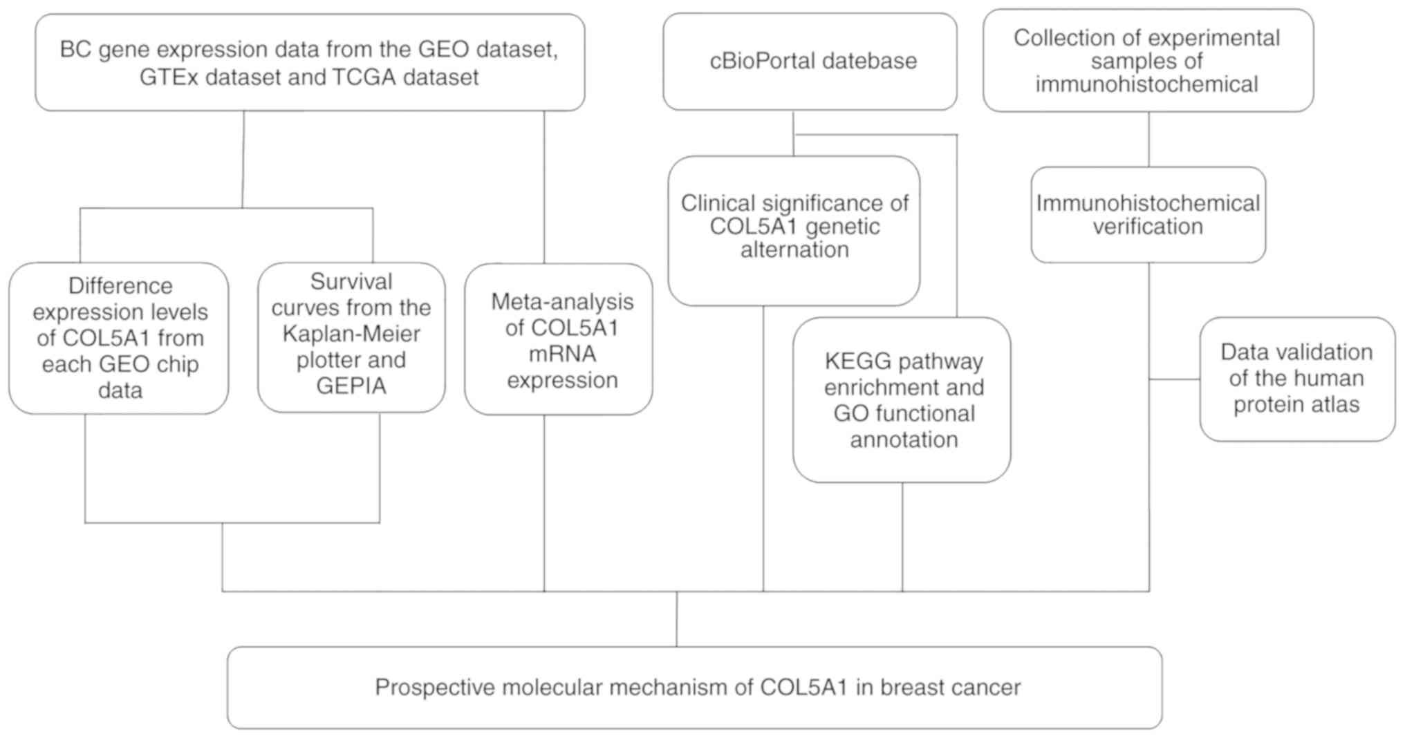 Gene Expression Chart