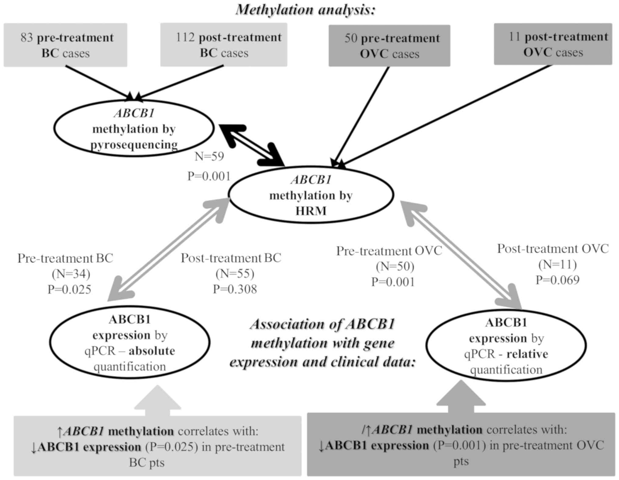 Mdr1 Chart