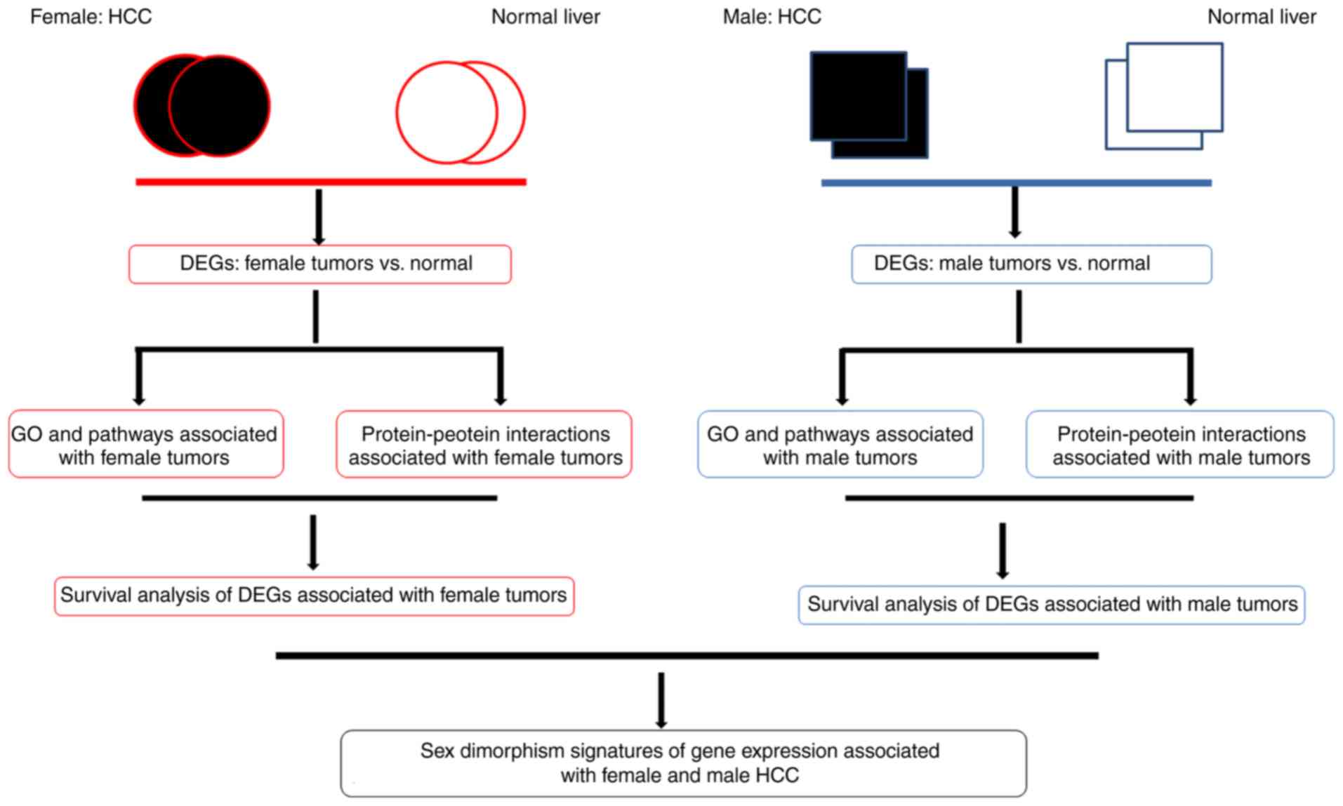 Gene Expression Chart