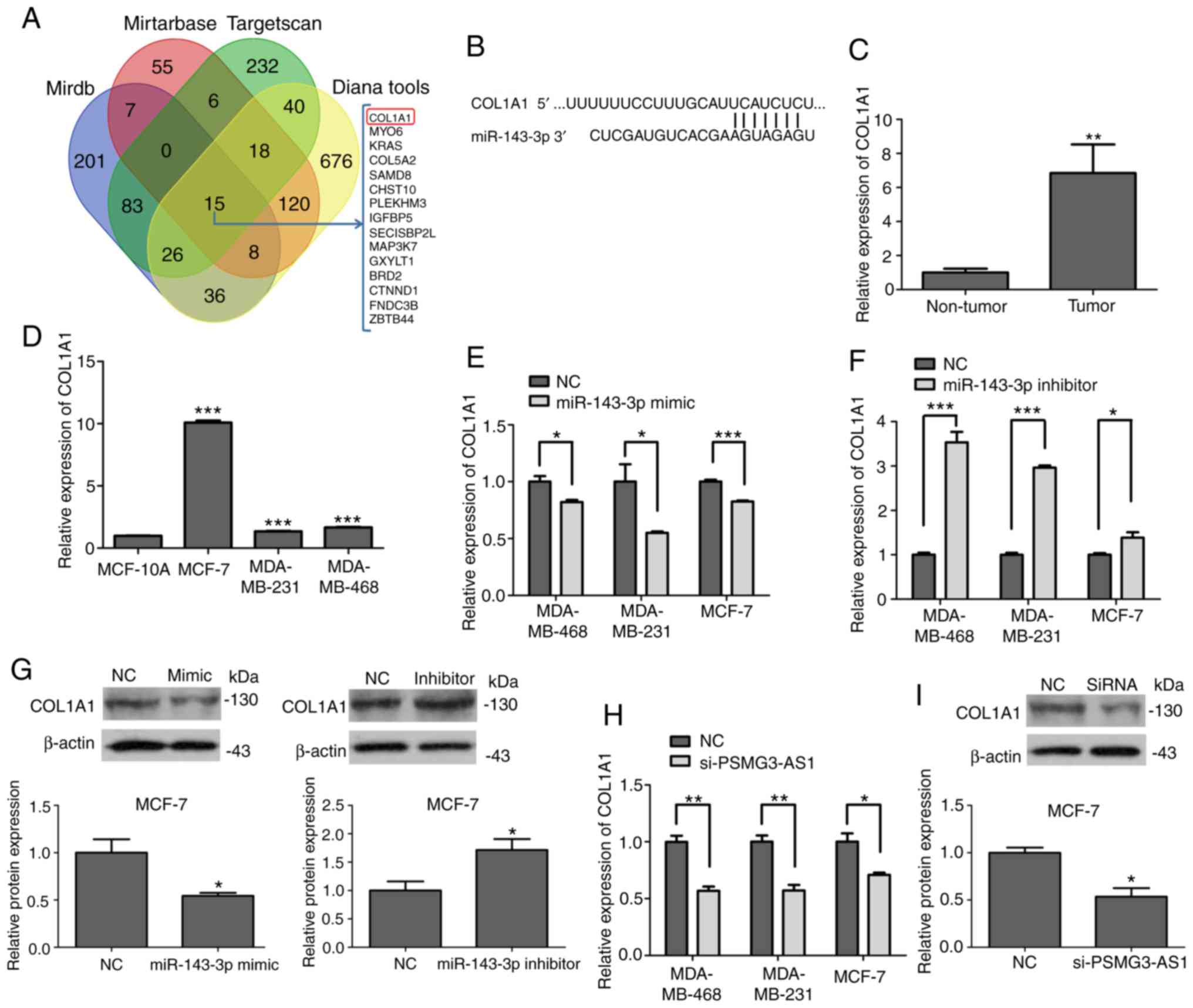 Novel Lncrna Psmg3‑as1 Functions As A Mir‑143‑3p Sponge To Increase The
