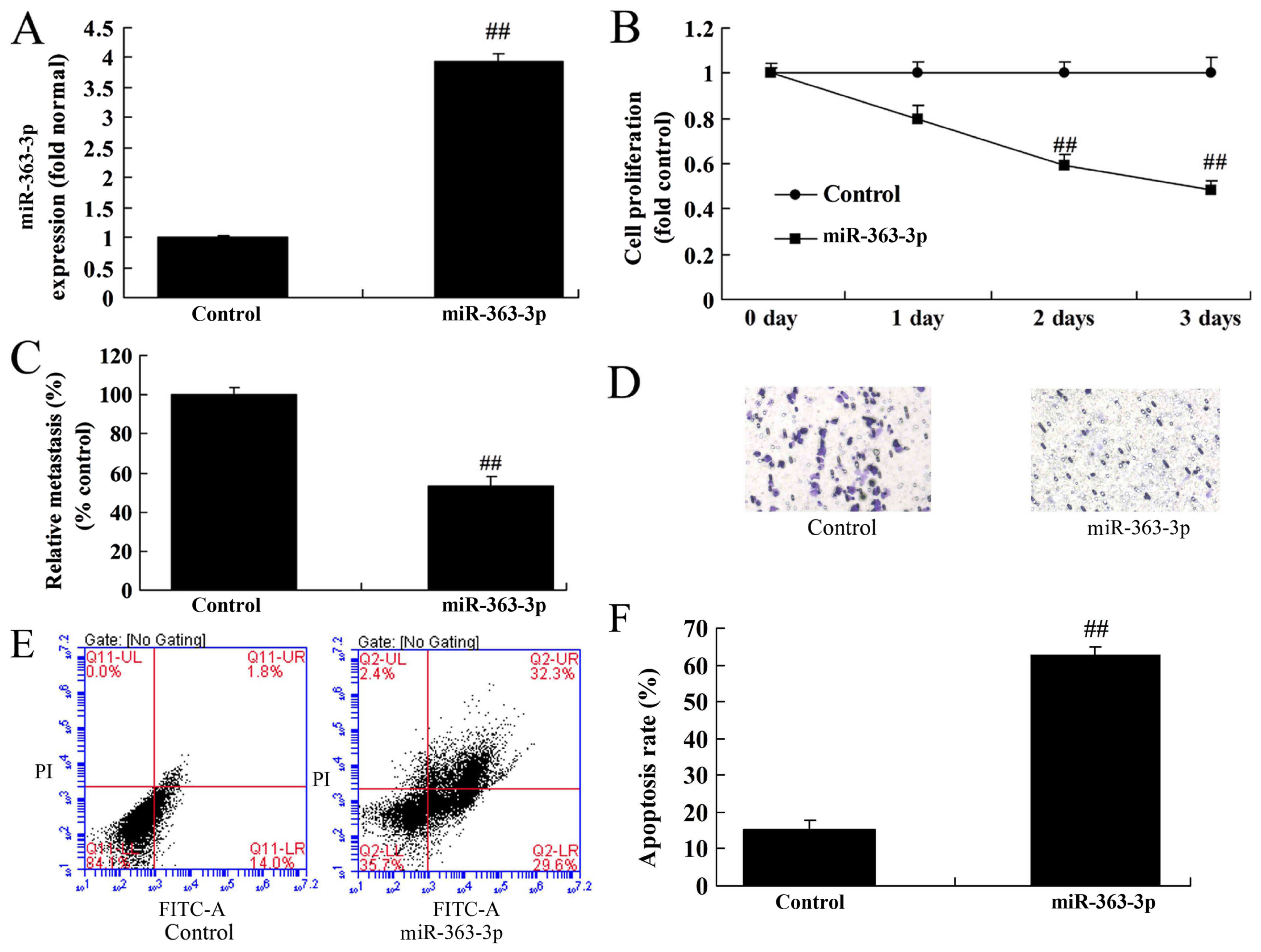 Microrna 363 3p Inhibits Cell Proliferation And Induces Apoptosis