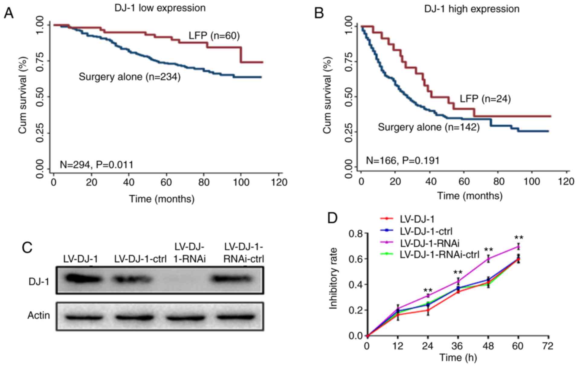 DJ‑1 is a new prognostic marker and predicts chemotherapy efficacy 