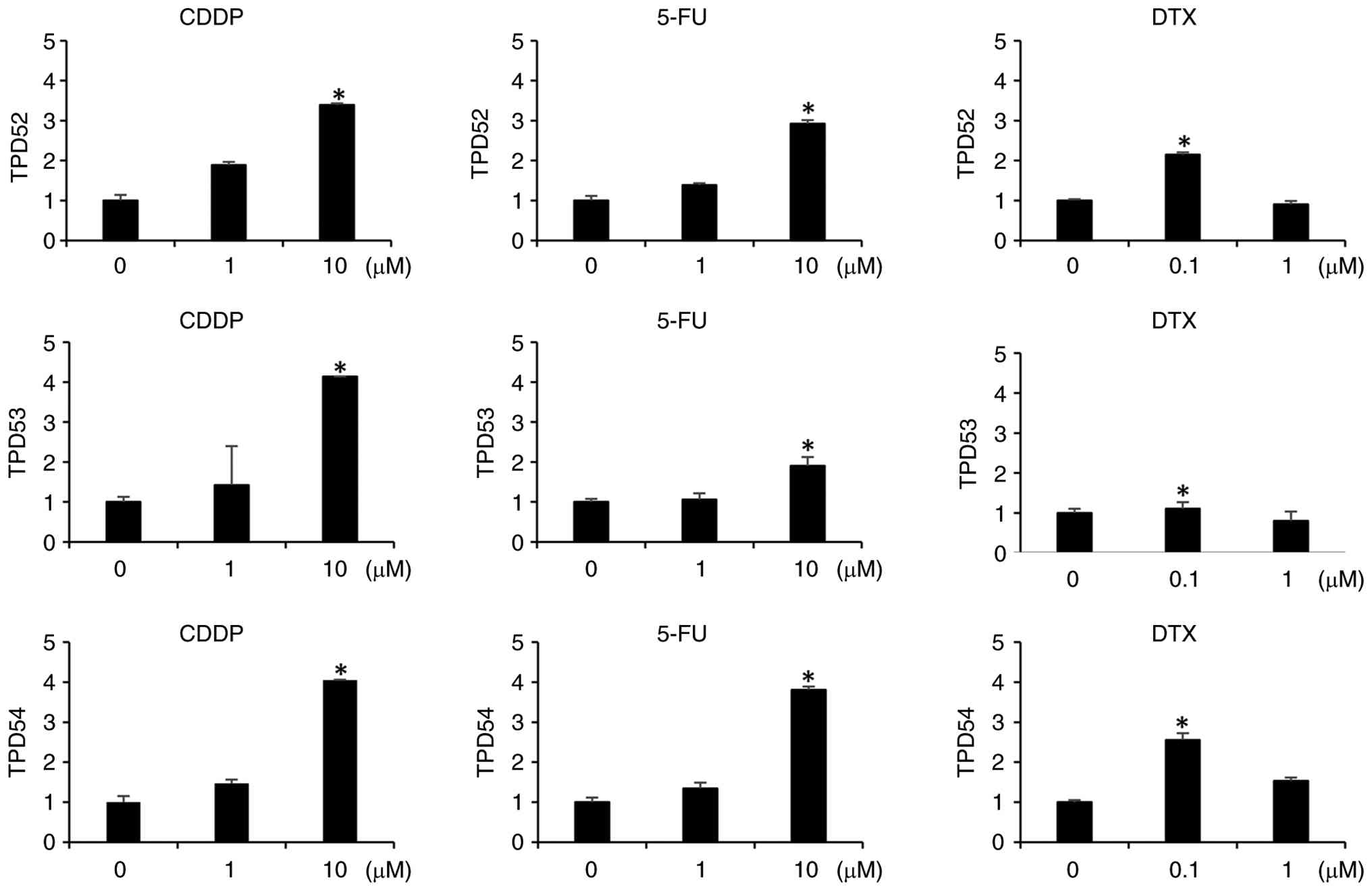 Effects of CDDP, 5-FU, and DTX on the
mRNA expression of TPD52 family members. SAS cells were exposed to
CDDP or 5-FU (0, 1, and 10 µM) or DTX (0, 0.1, and 1 µM) for 48 h.
The mRNA expression of TPD52, TPD53, and TPD54 was analyzed by
RT-qPCR. Data are presented as the mean ± SD of three independent
experiments. *P<0.05 vs. control (0 µM). CDDP, cisplatin; 5-FU,
5-fluorouracil; DTX, docetaxel; RT-qPCR, reverse
transcription-quantitative polymerase chain reaction.