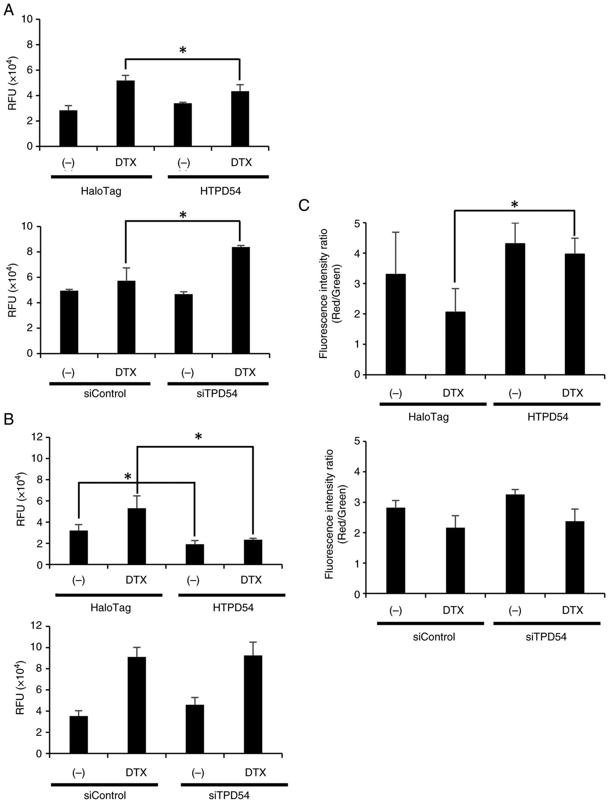 Effects of overexpression or knockdown
of TPD54 on DTX-associated apoptotic responses in SAS cells.
Overexpression vectors or siRNAs for TPD54 were transfected into
SAS cells. (A-C) Cells were incubated in the absence (−) or
presence (+) of DTX for 48 h, followed by assays for (A)
caspase-3/7 activity, (B) caspase-9 activity and (C) mitochondrial
membrane potential. Data are presented as the mean ± SD of three
independent experiments. *P<0.05. DTX, docetaxel.