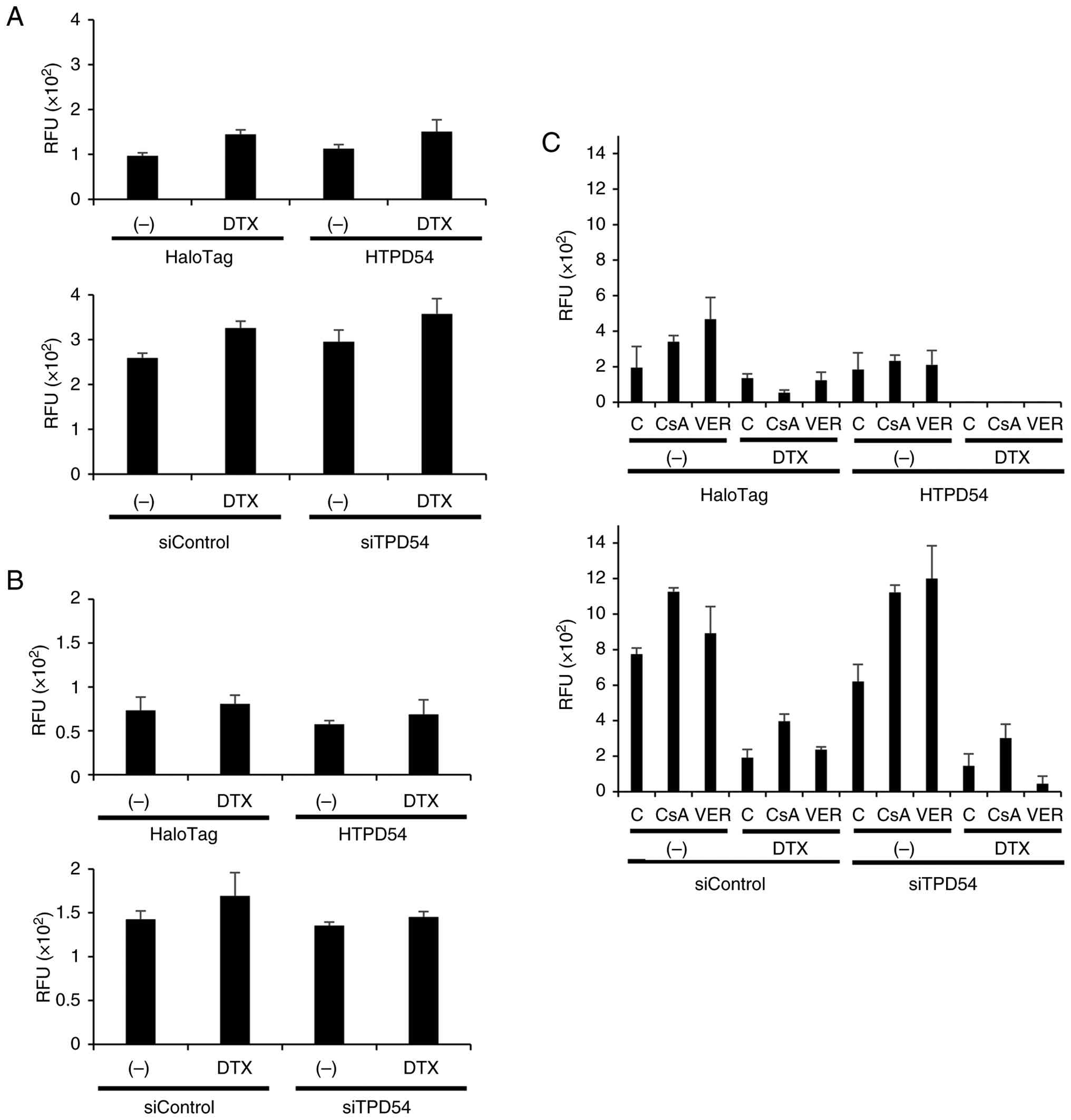 Effects of overexpression or knockdown
of TPD54 on the activities of P450 enzymes and P-gp. (A-C) SAS
cells were transfected and reseeded as described for the MTT assay.
The activities of (A) P450 3A4, (B) P450 1B1 and (C) P-gp were
measured. P-gp activity was evaluated under control conditions or
in the presence of CsA or VER. Data are presented as the mean ± SD
of three independent experiments. P-gp, P-glycoprotein; CsA,
cyclosporin A; VER, verapamil; DTX, docetaxel.