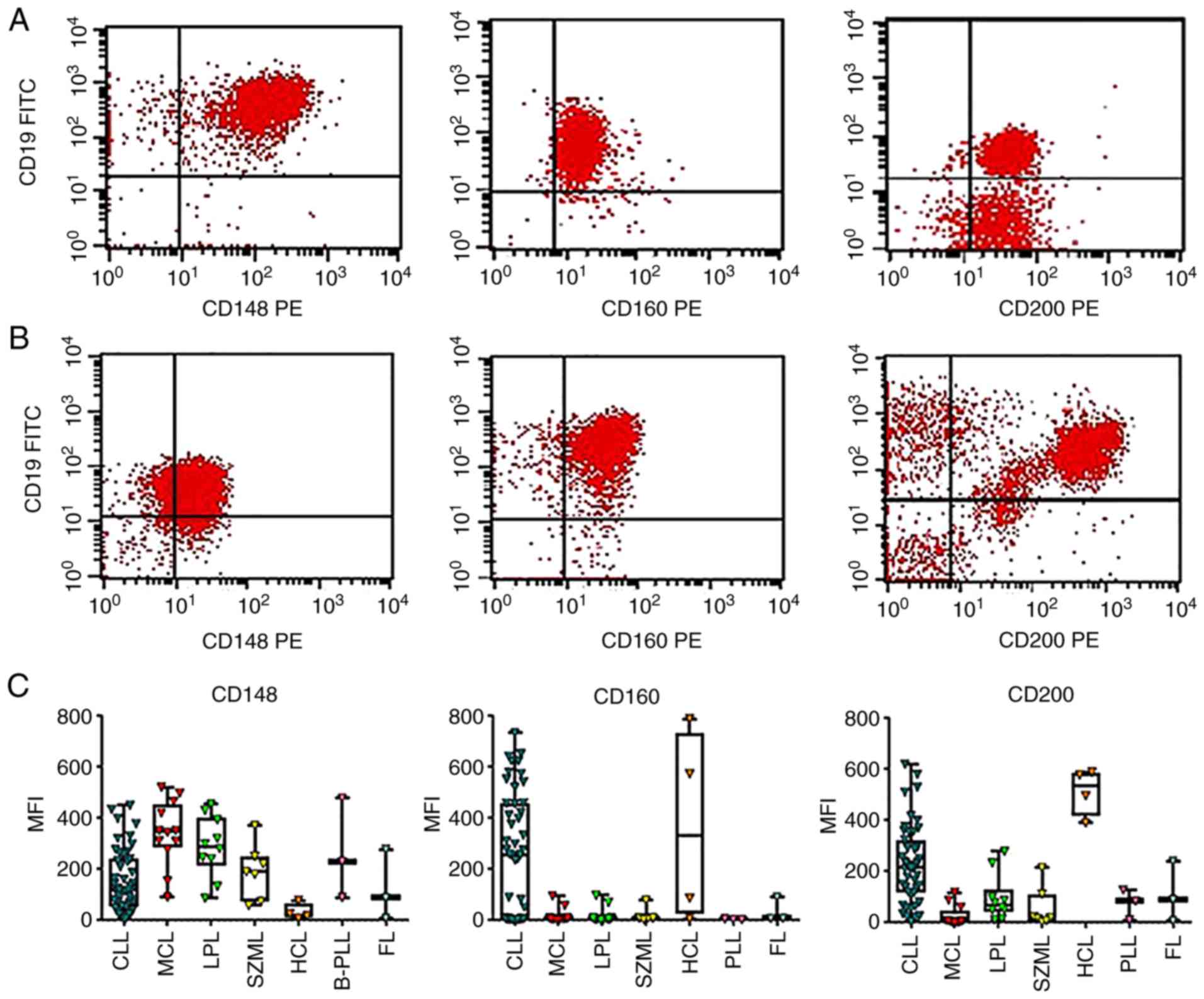 Bd Biosciences Human Cd Marker Chart